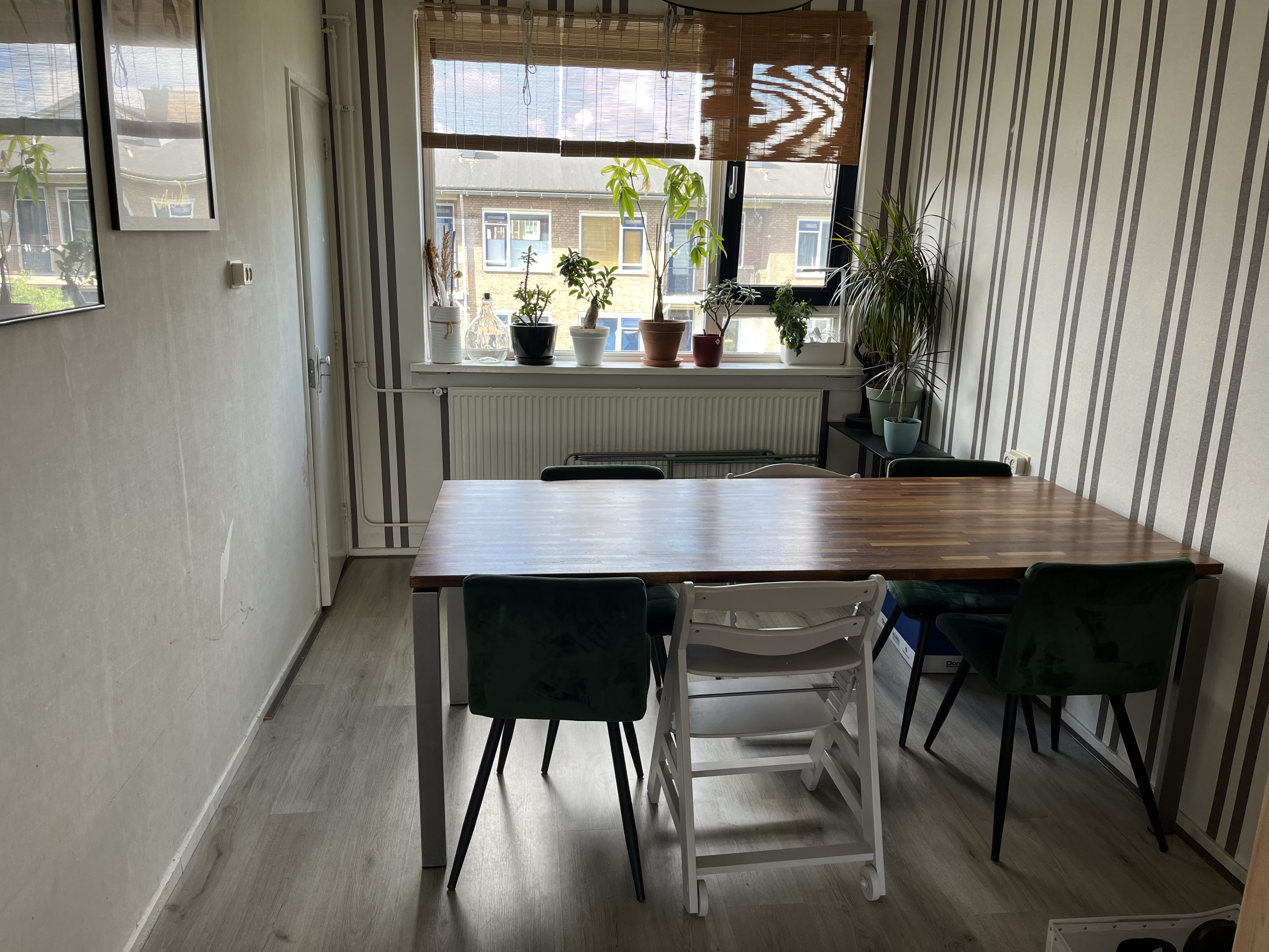 Douwes Dekkerstraat 95