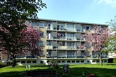 Tarwekamp 184, 2592 XP Den Haag, Nederland