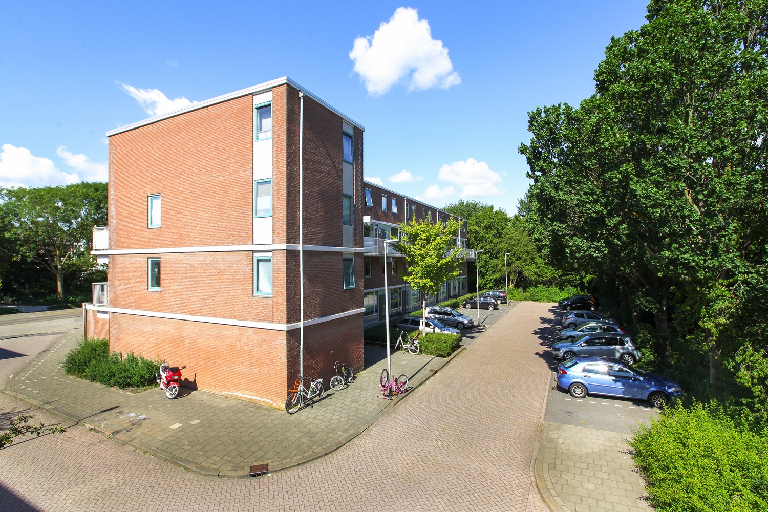 Jacobus Bellamyhove 37