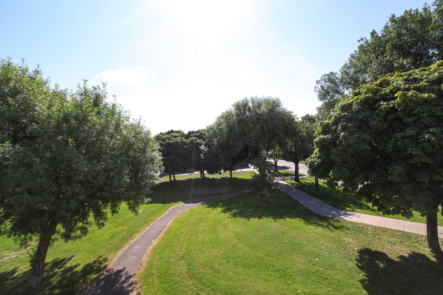 Jacobus Bellamyhove 37