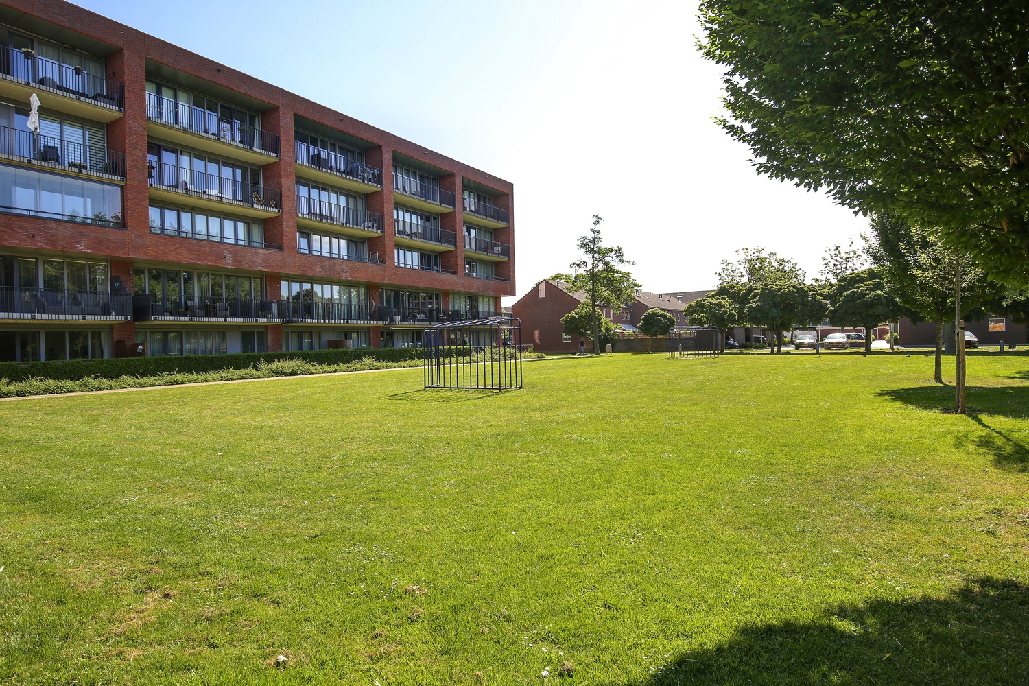 Jacobus Bellamyhove 37