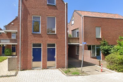 Tulp 12