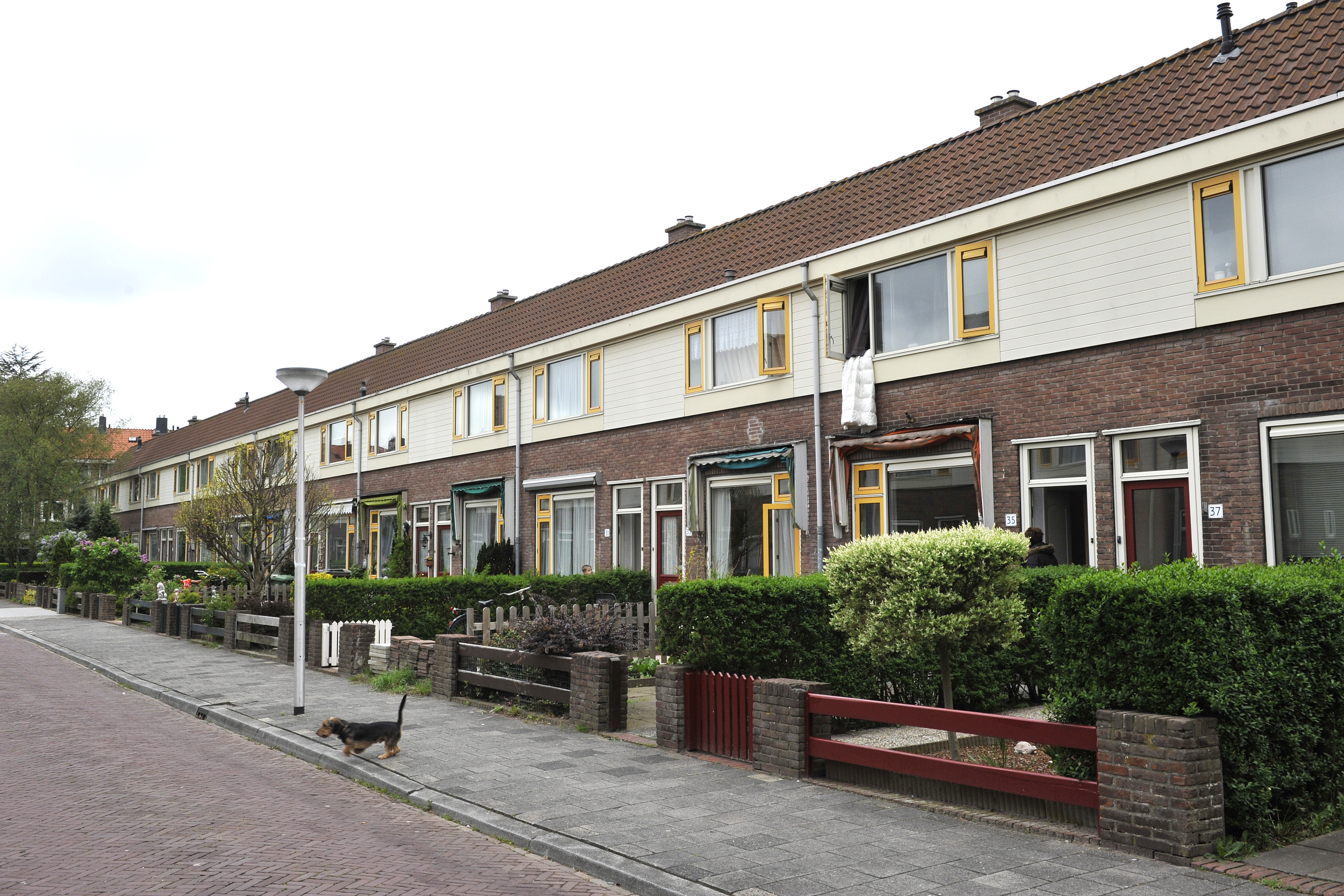 Alyd Buserstraat 35