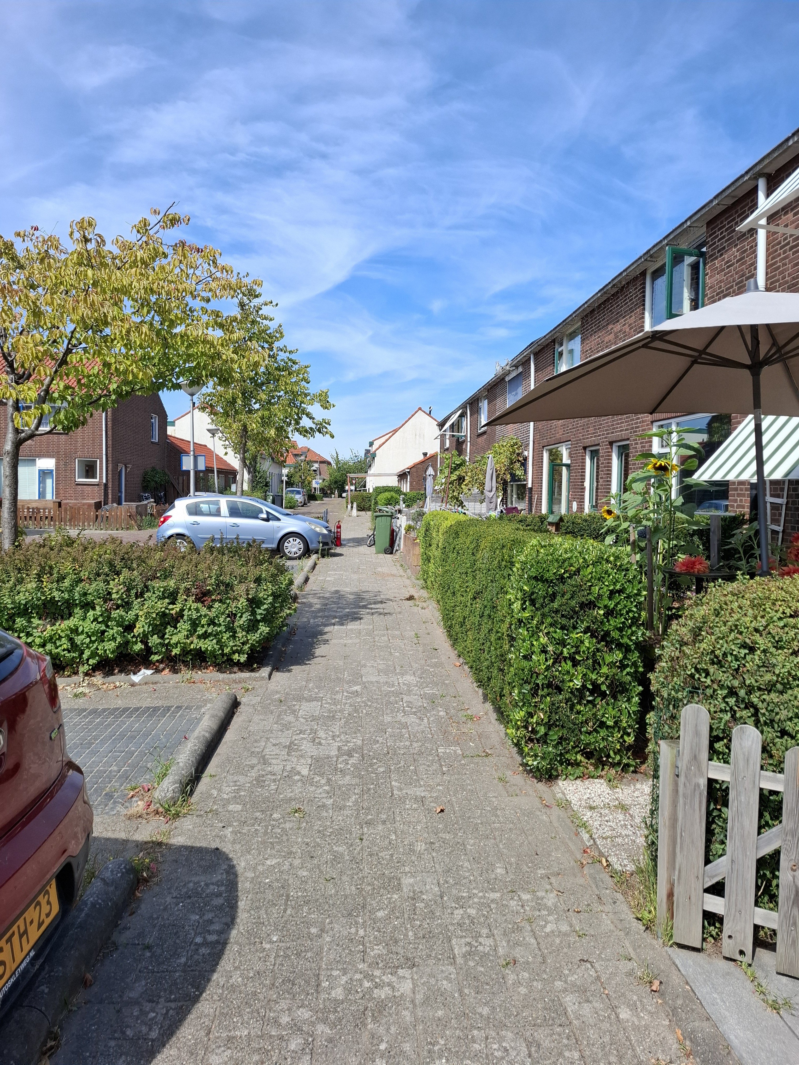 2e van Reenenstraat 29