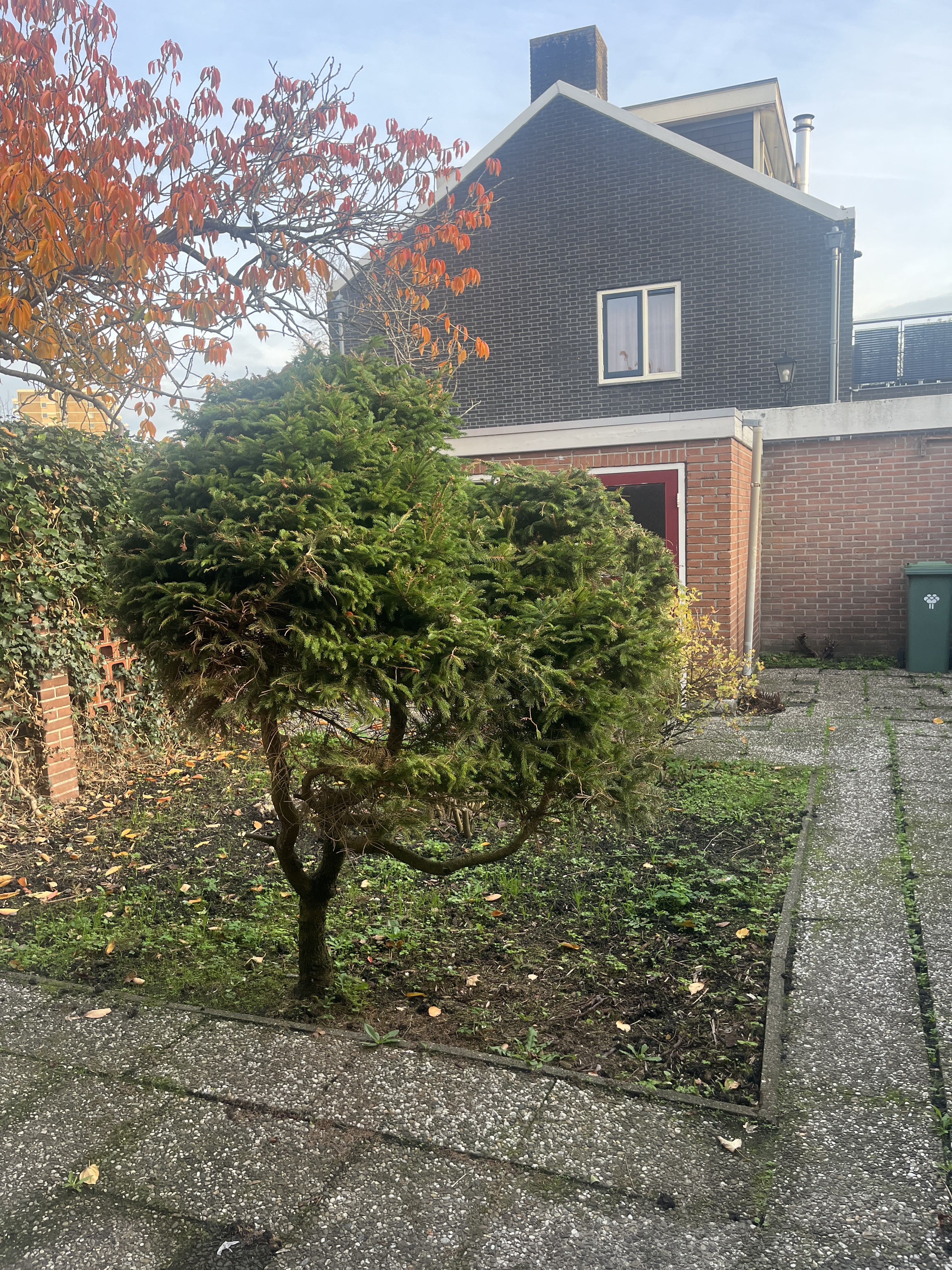 Dr. J. W. Paltelaan 32