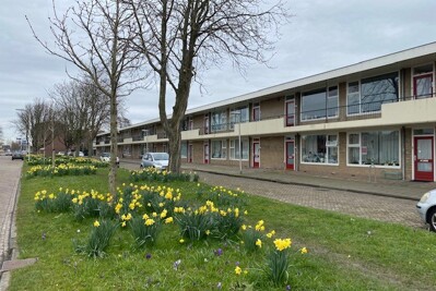 Dingemans van de Kasteeleplein 43
