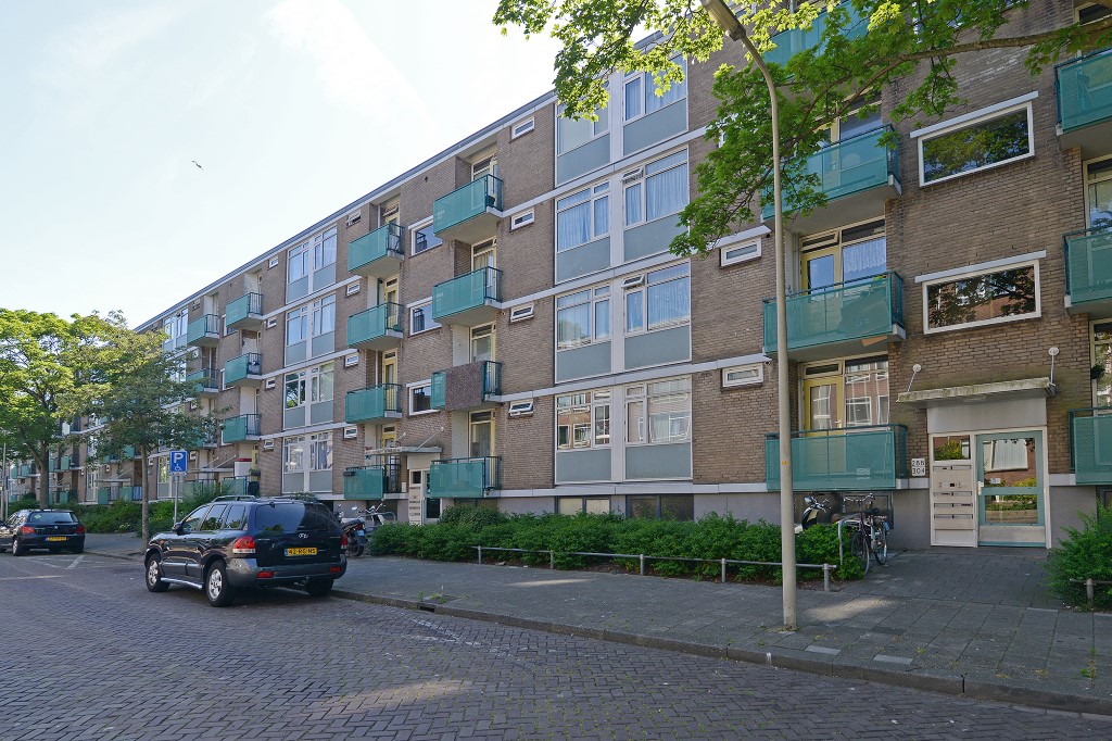 Wantsnijdersgaarde 284