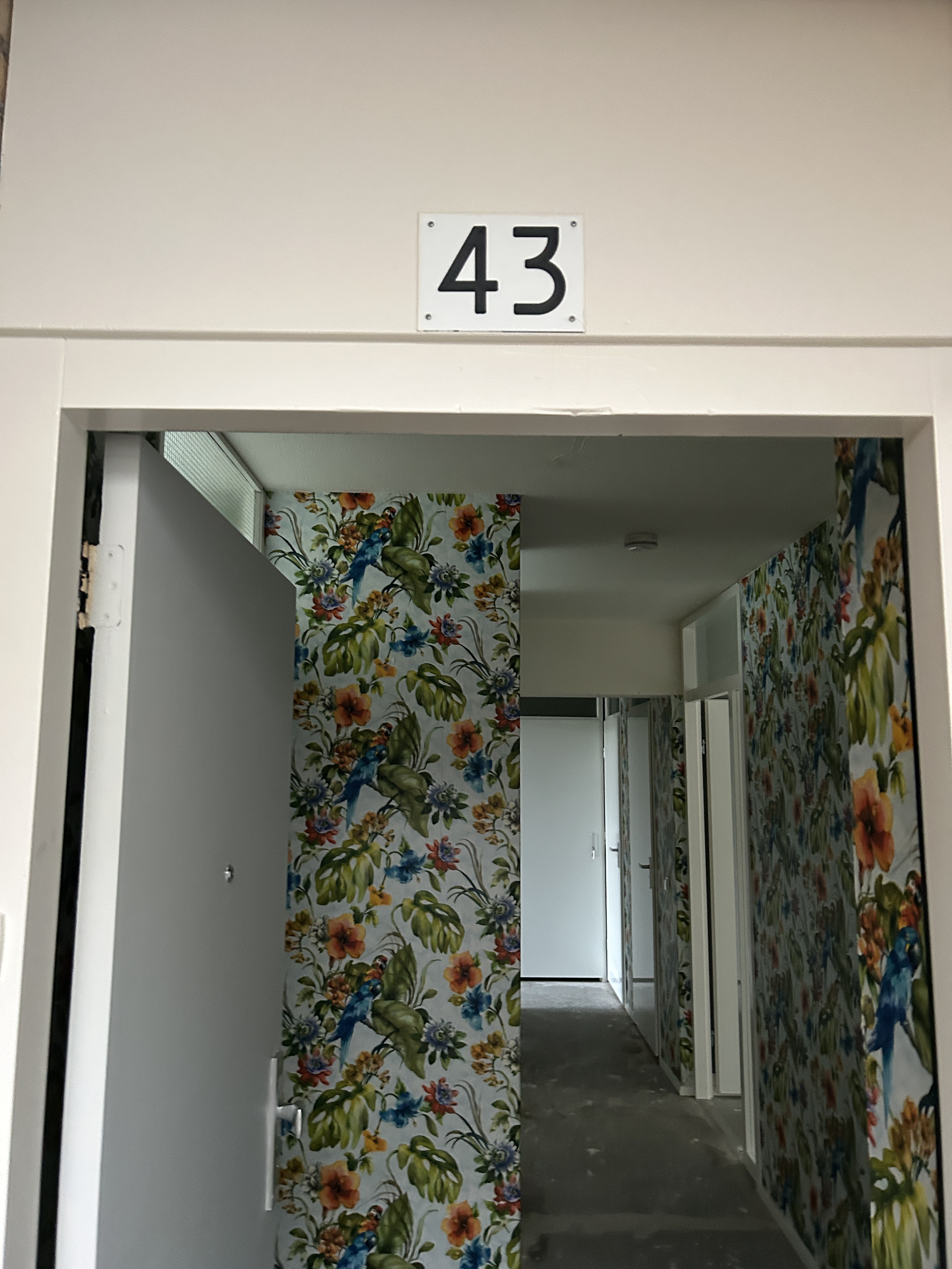 Hemsterhuisstraat 43