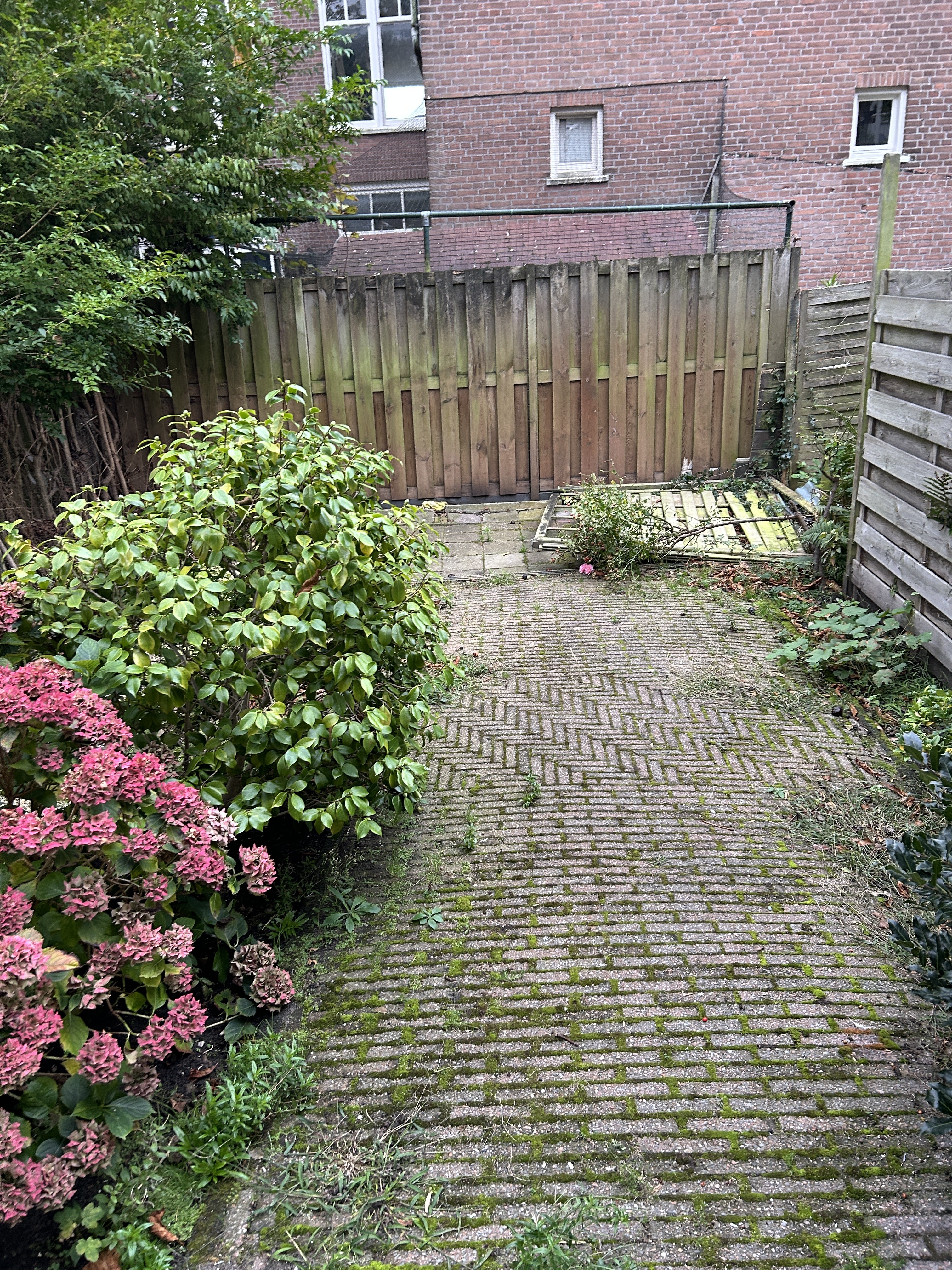 Hendrik Zwaardecroonstraat 55