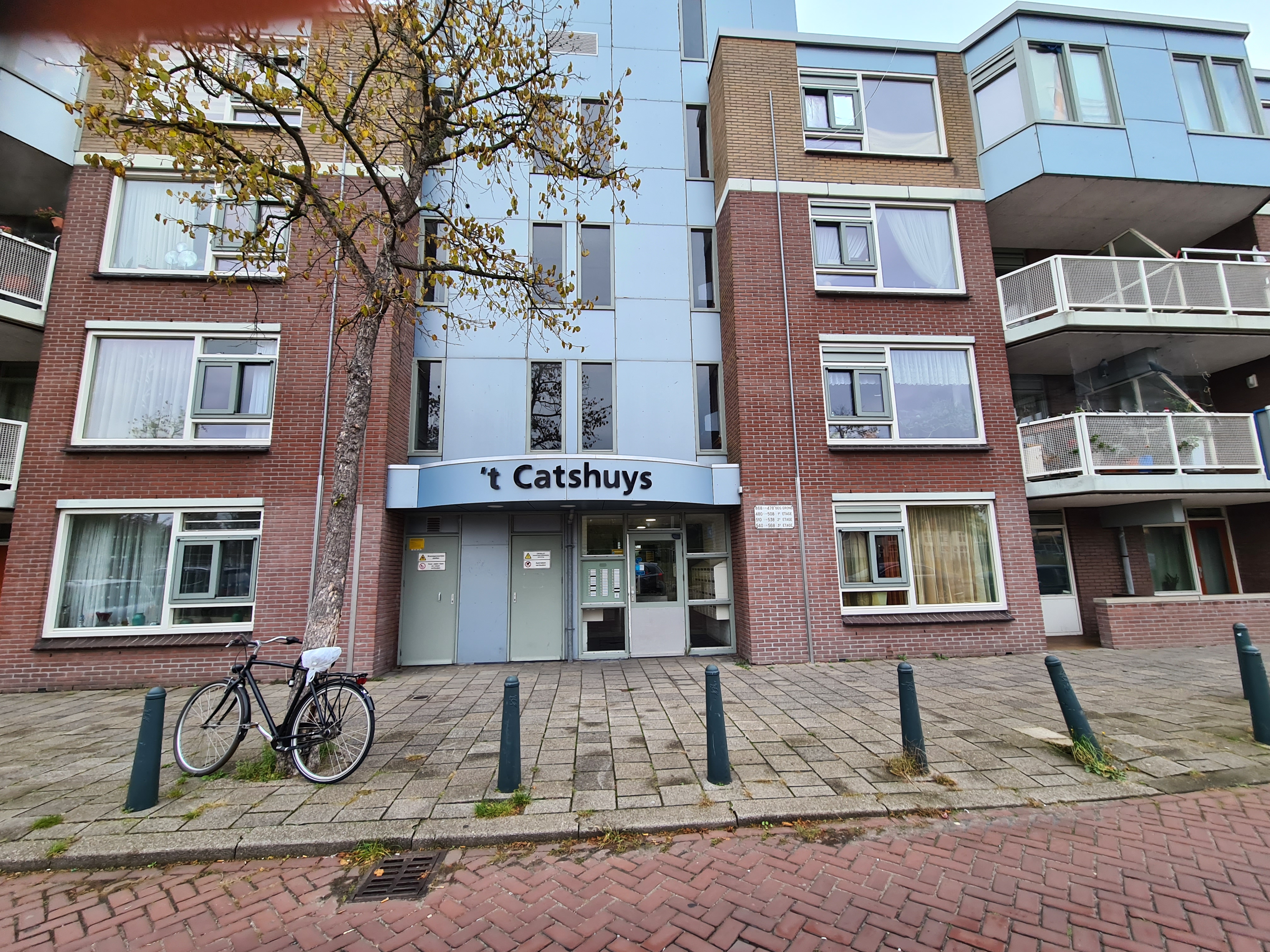 Jacob Catsstraat 476