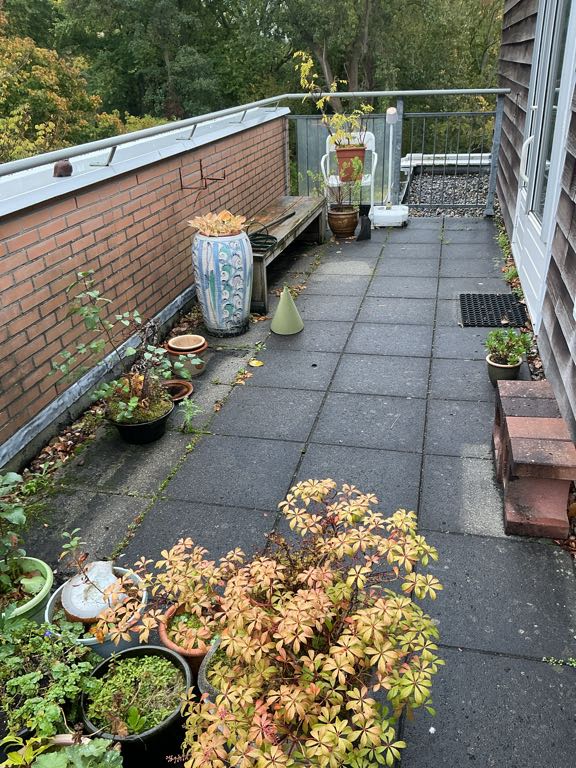 Cort van der Lindenstraat 93