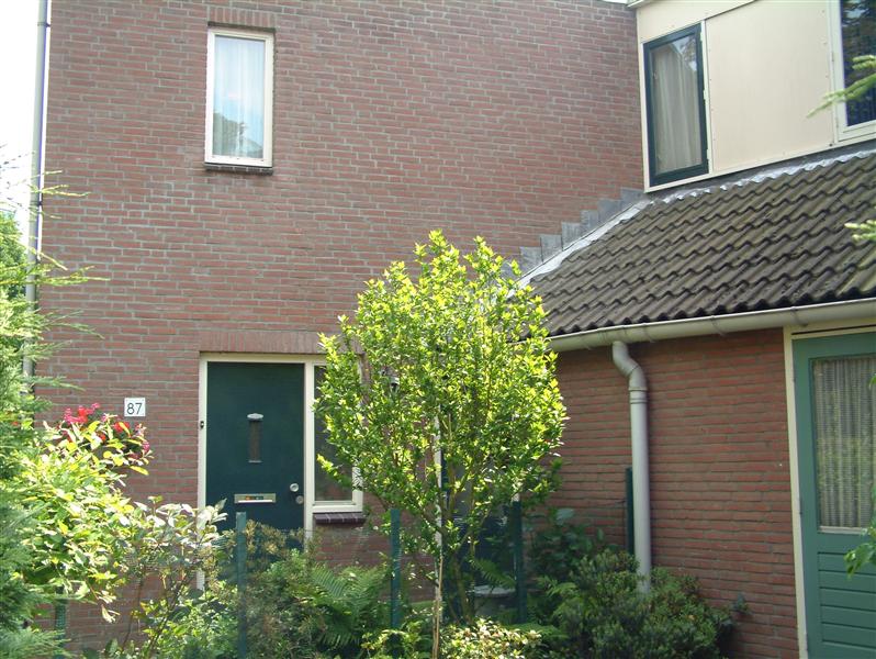 Pieter Bothstraat 87, 2595 XD Den Haag, Nederland