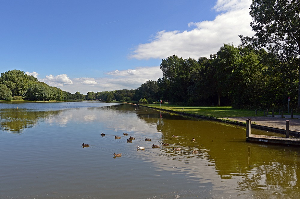 Van Drieststraat 123