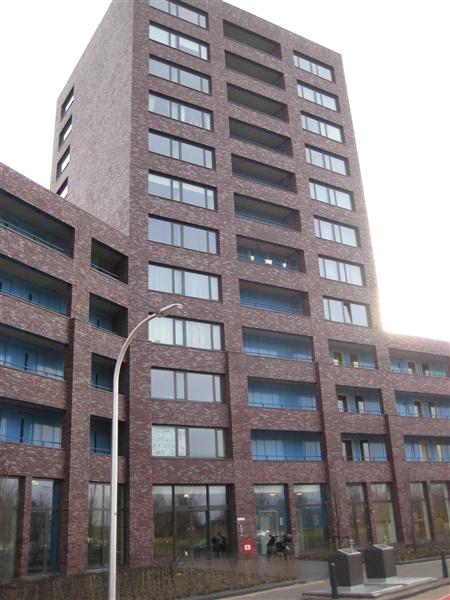 Knobbelzwaansingel 249