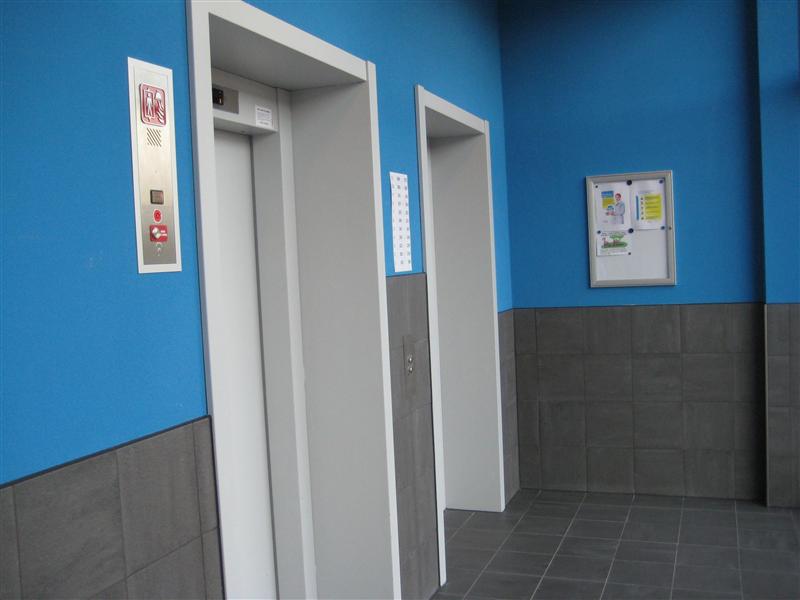 Knobbelzwaansingel 249