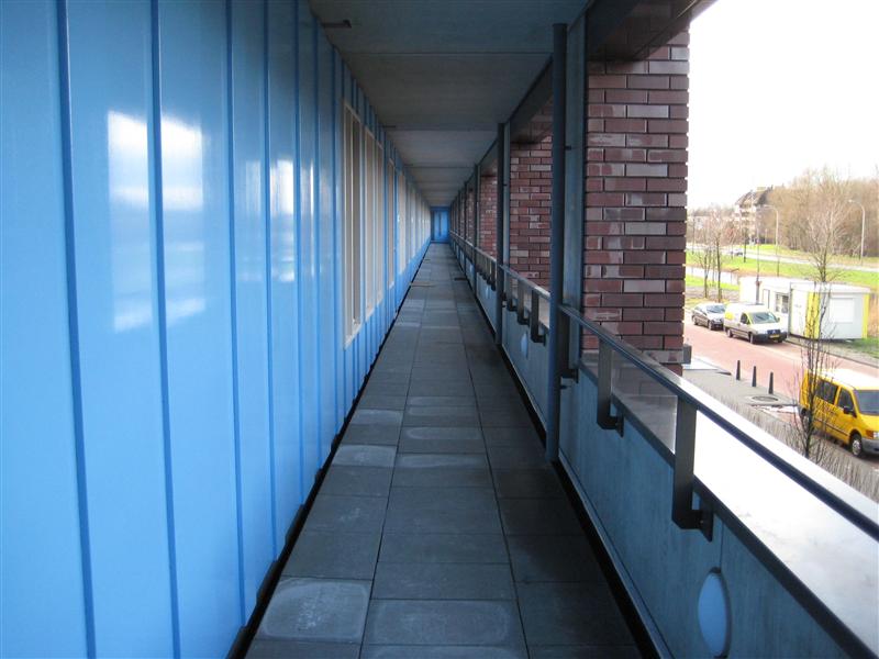 Knobbelzwaansingel 249