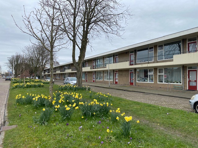 Dingemans van de Kasteeleplein 57, 2691 WG 's-Gravenzande, Nederland