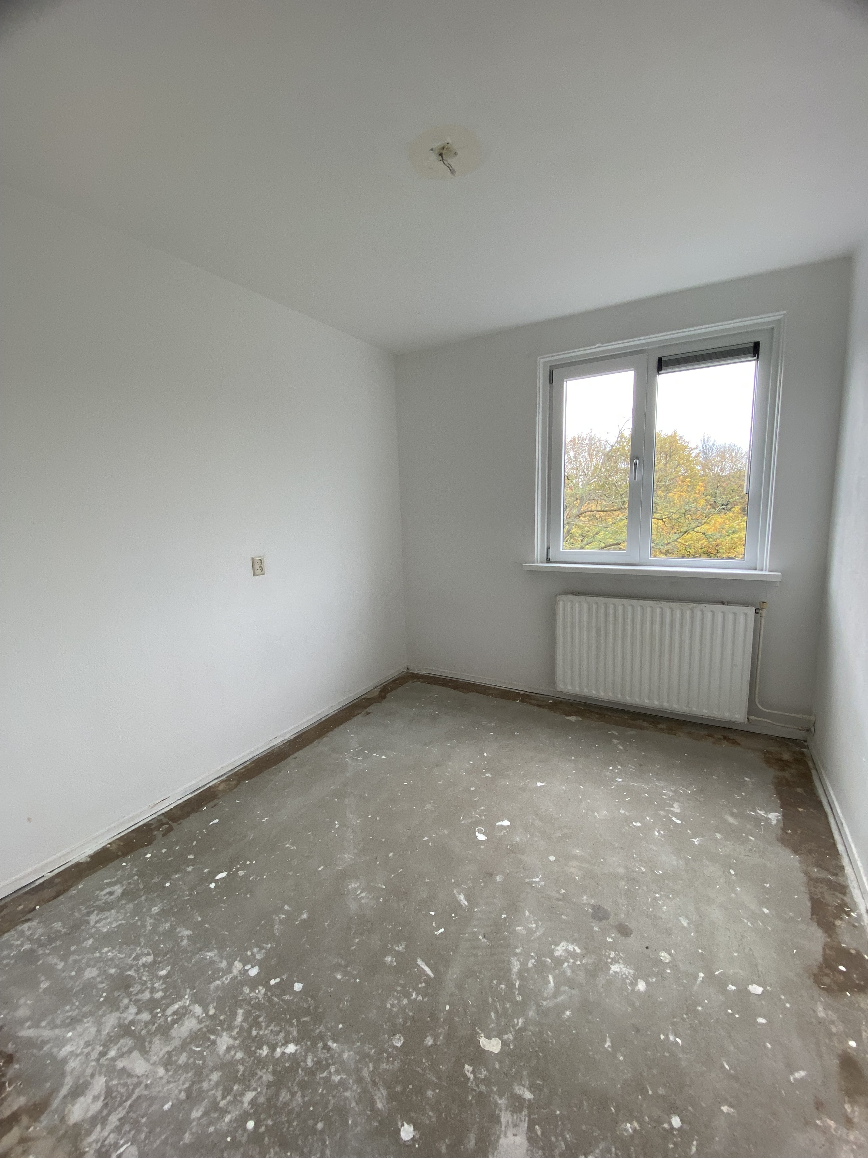 Architect Brandeserf 13