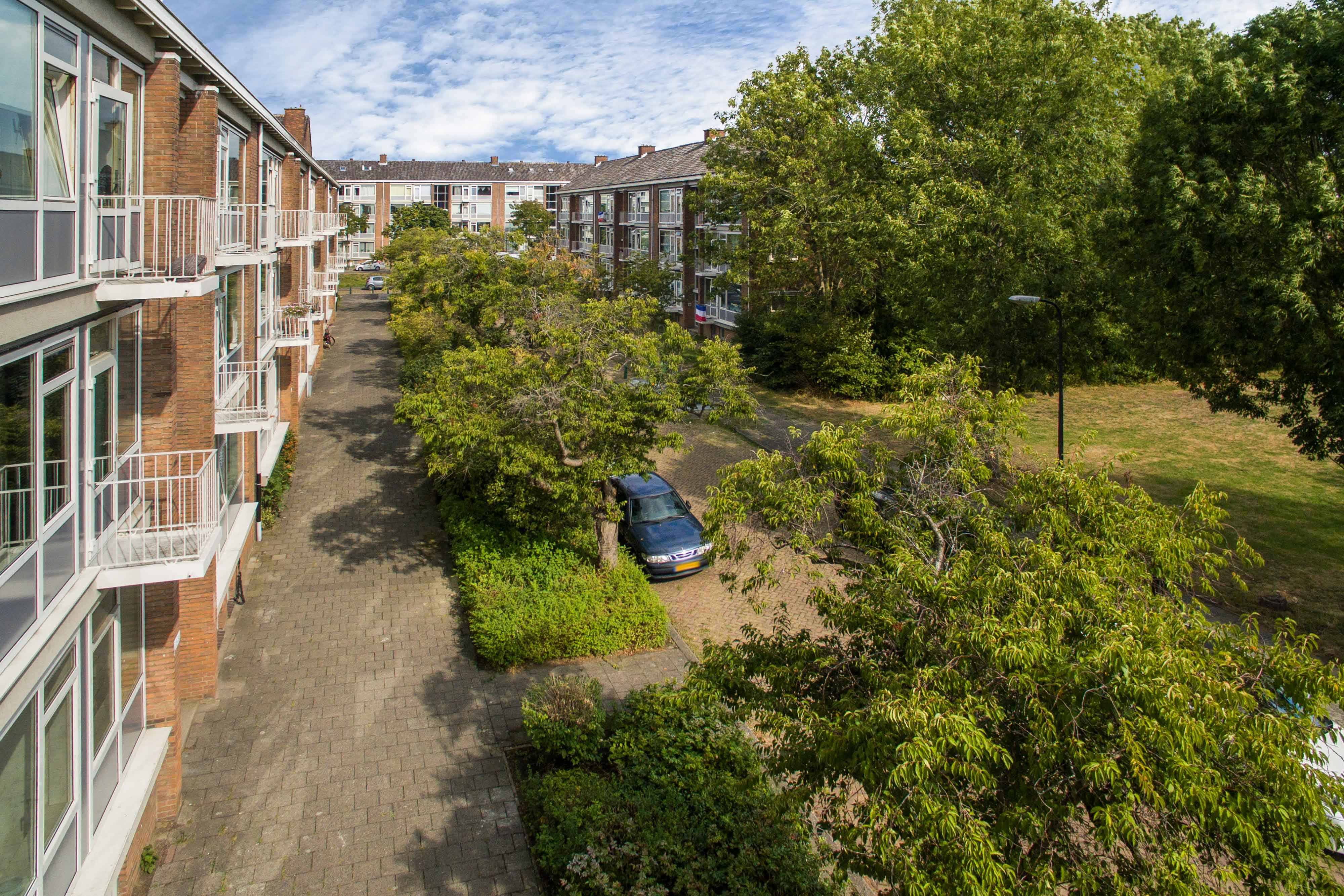 E.H. Hartmanstraat 54