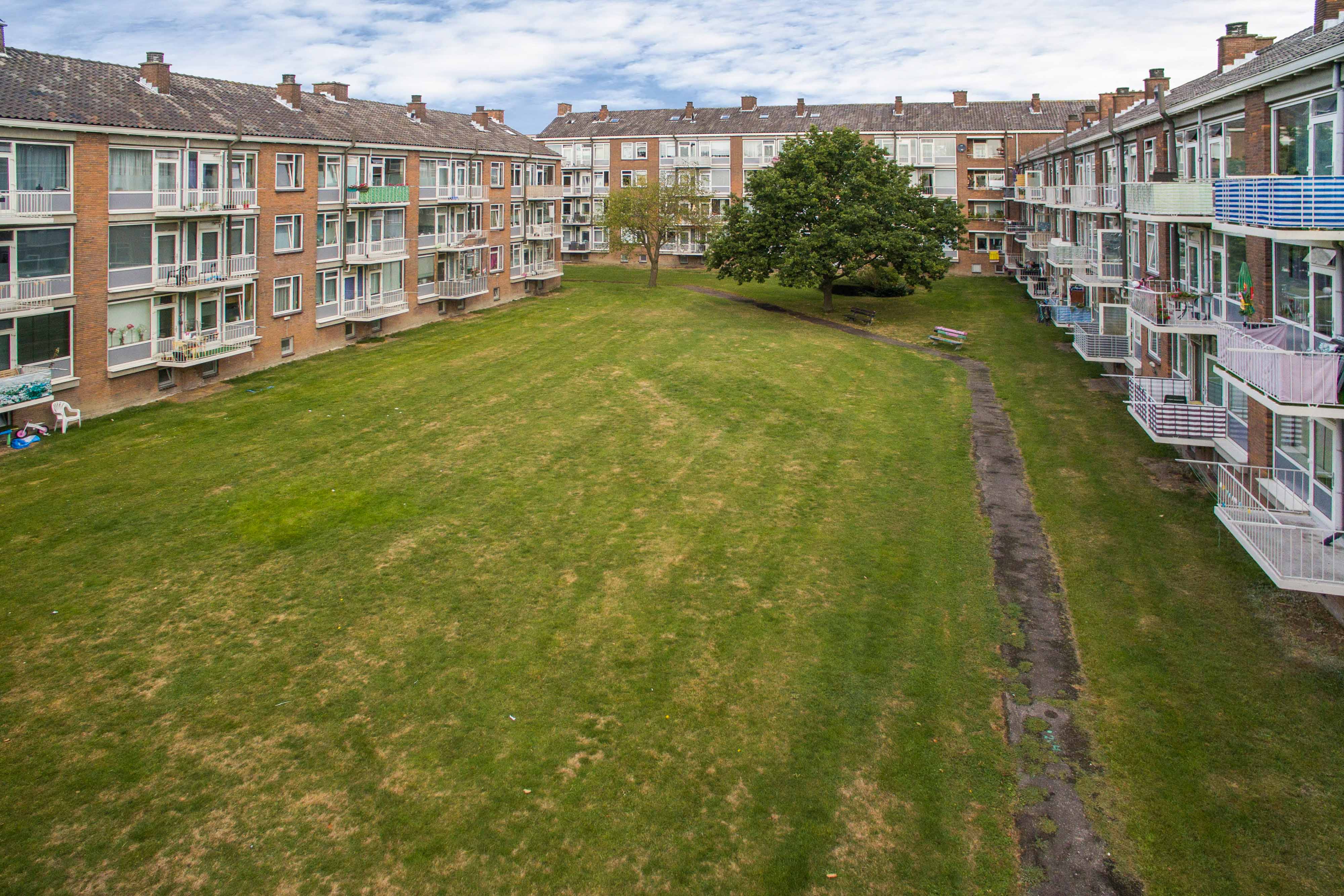 E.H. Hartmanstraat 54