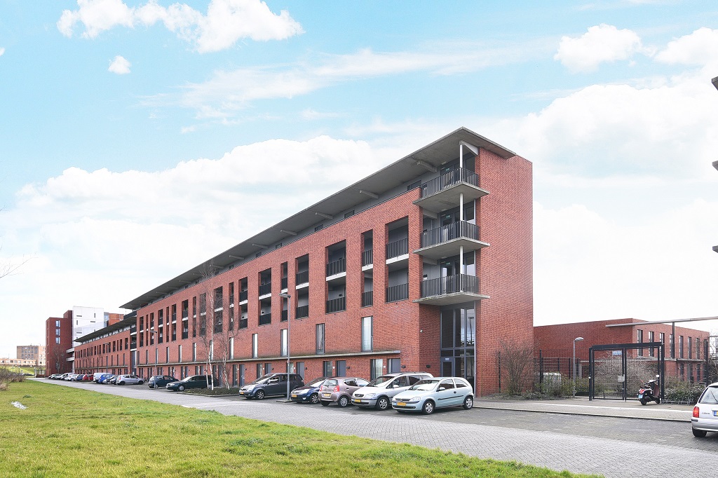 homes for rent on Schiebroekstraat 209