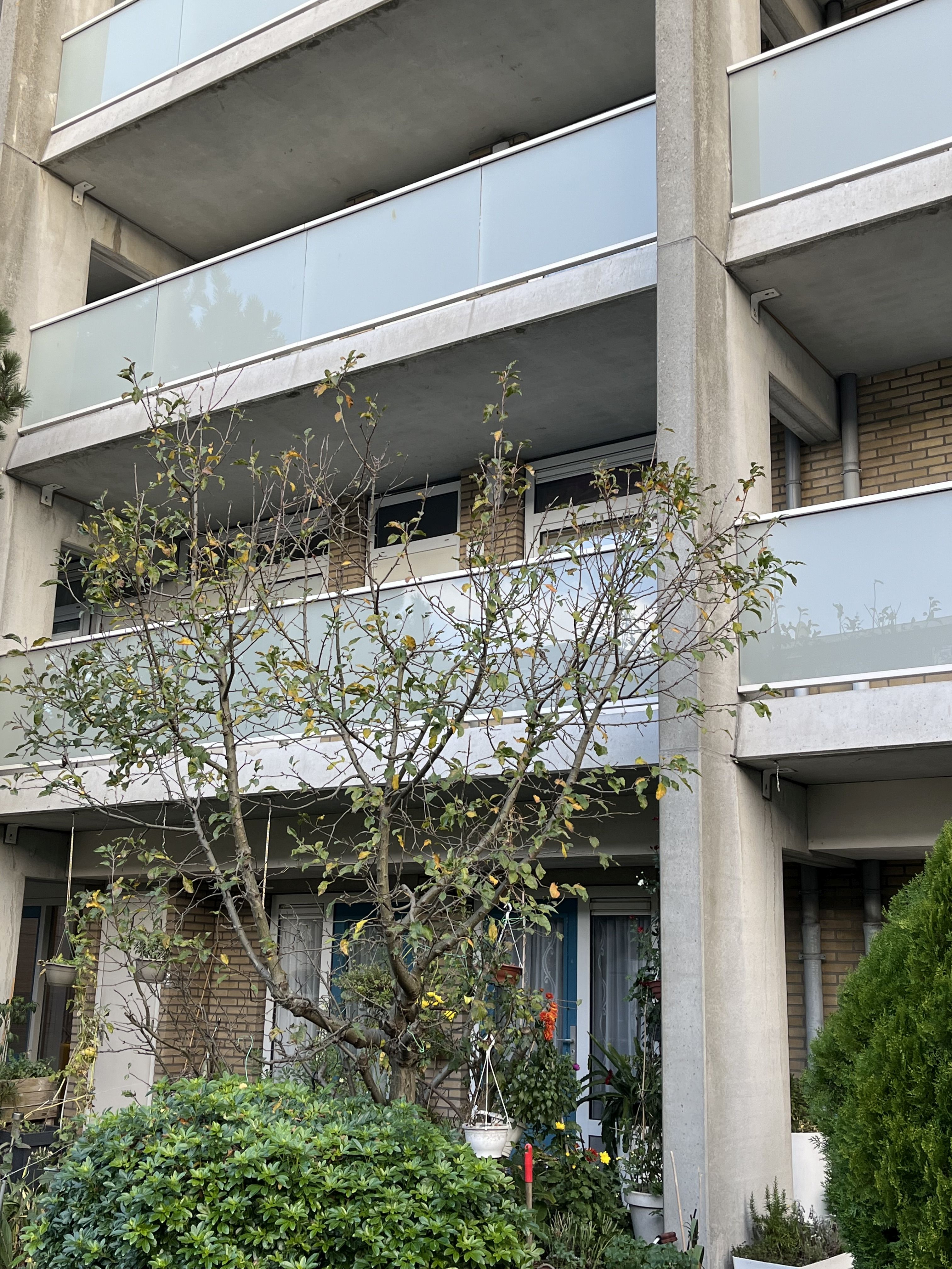 Christoffel Plantijnstraat 49