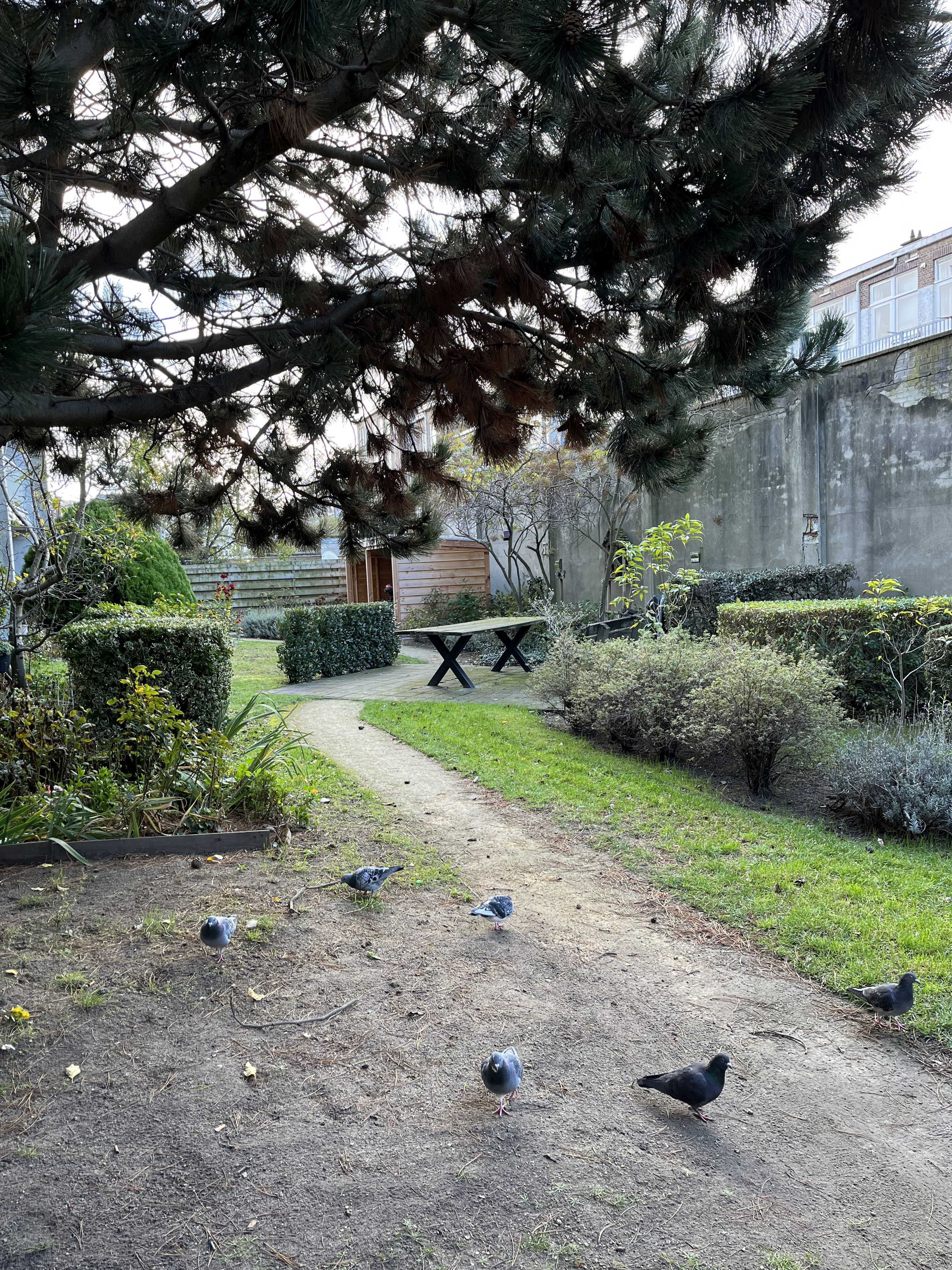 Christoffel Plantijnstraat 49