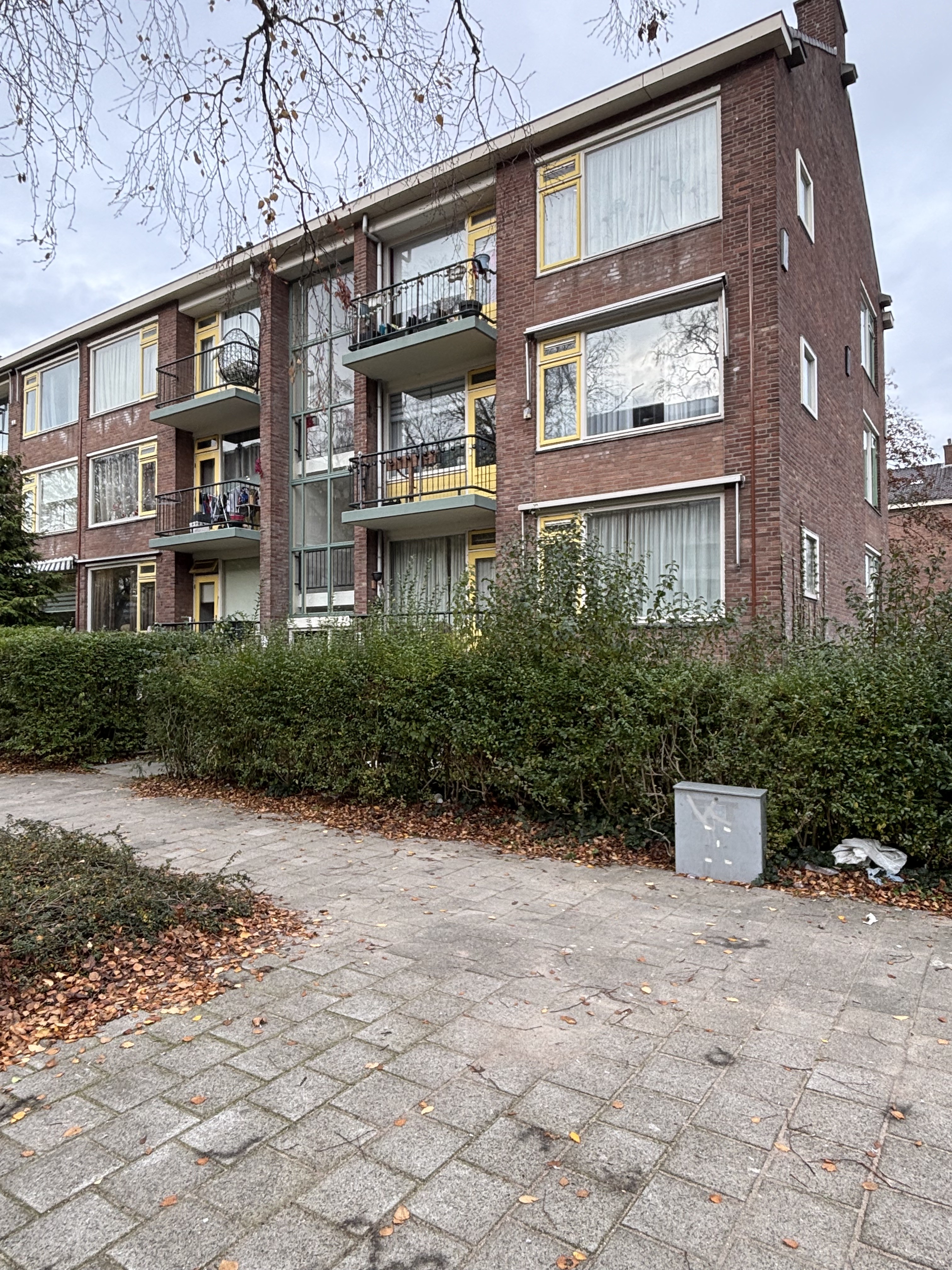 Terracottastraat 82
