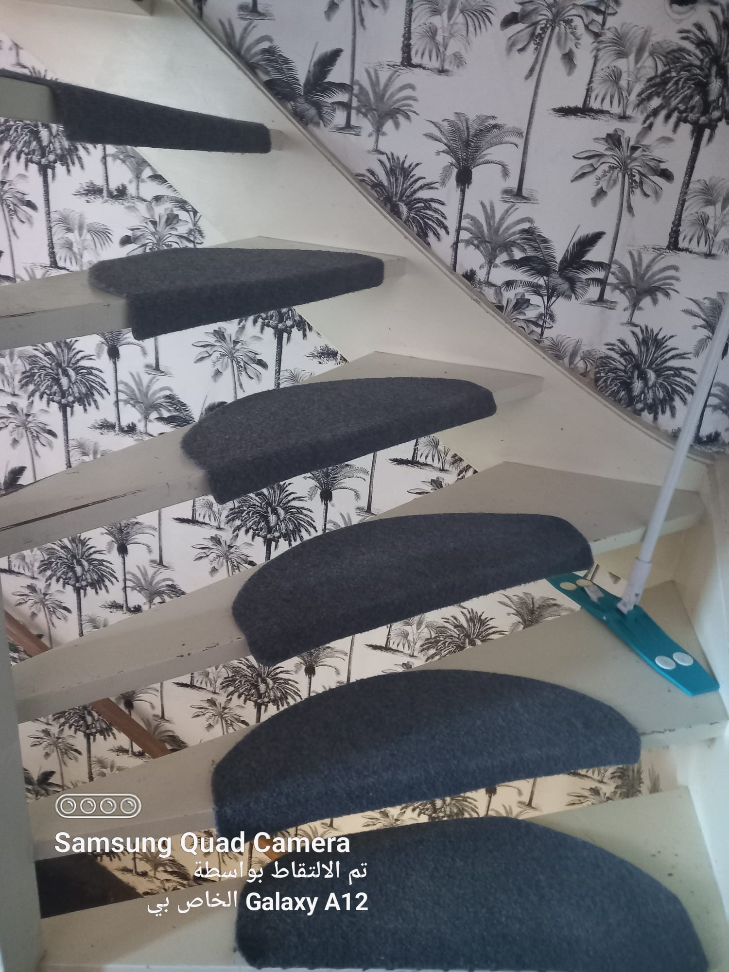 Van Wassenaerstraat 11