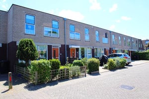 apartments for rent on Hooikamp 7