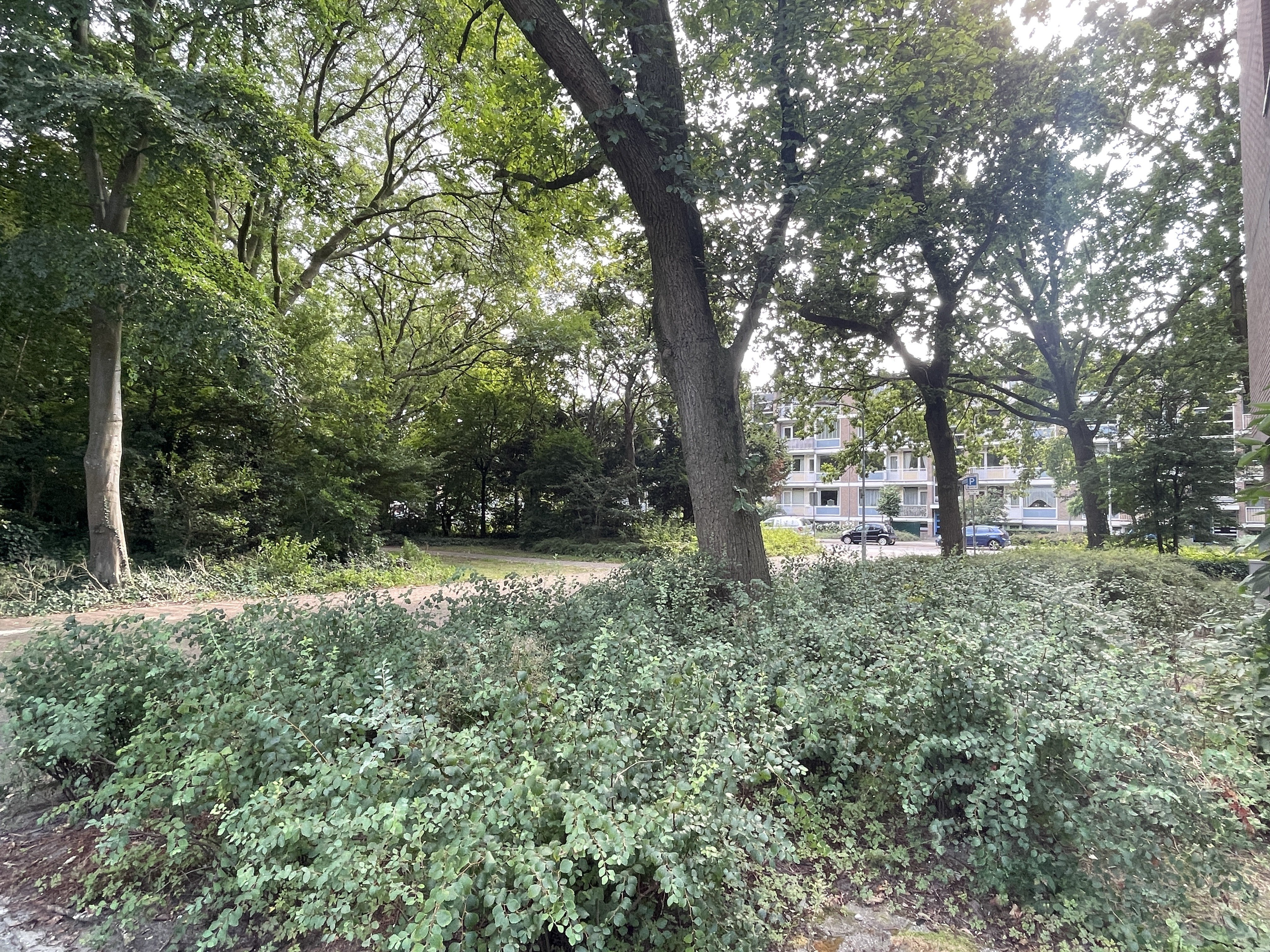 Sint Martinuslaan 200