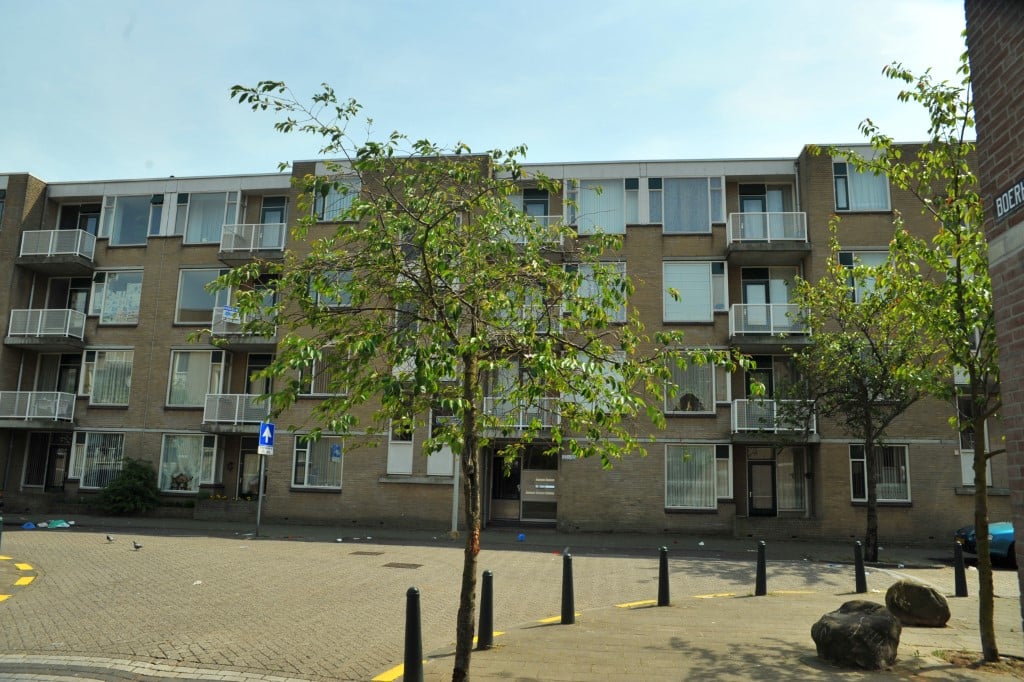 Van Leeuwenhoekstraat 165