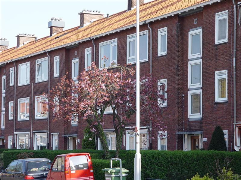 Rozenboomlaan 100, 2274 HL Voorburg, Nederland