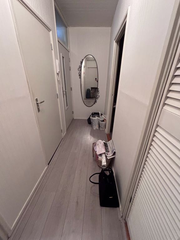 Wethouder Hillenaarplantsoen 100