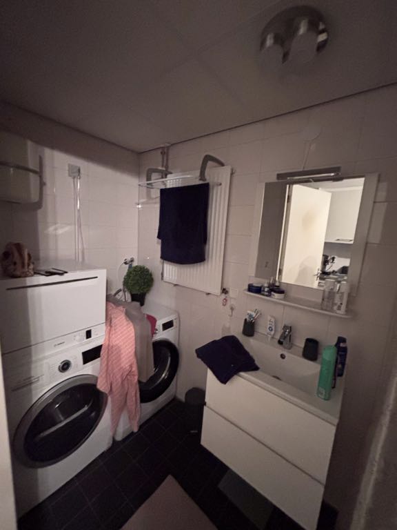 Wethouder Hillenaarplantsoen 100