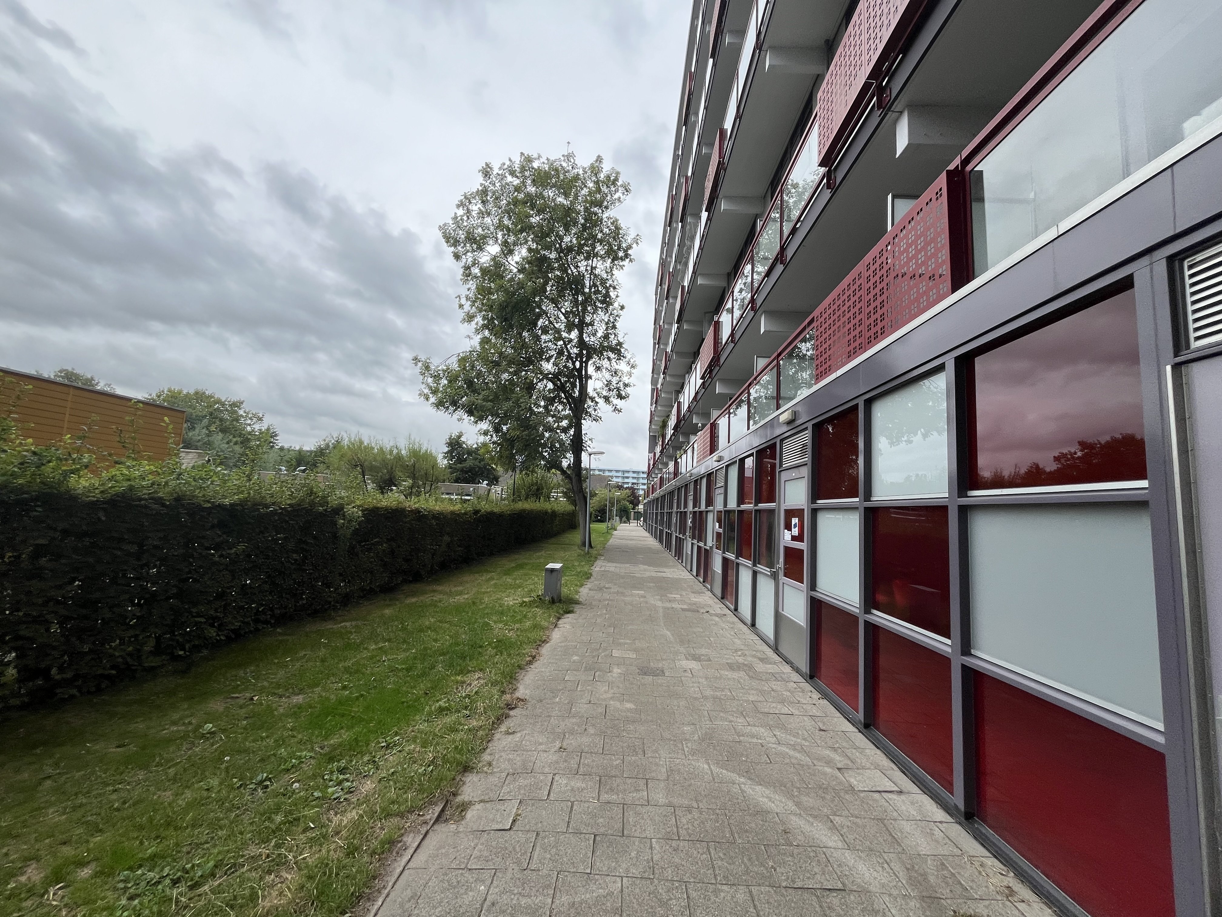 Titus Brandsmastraat 55