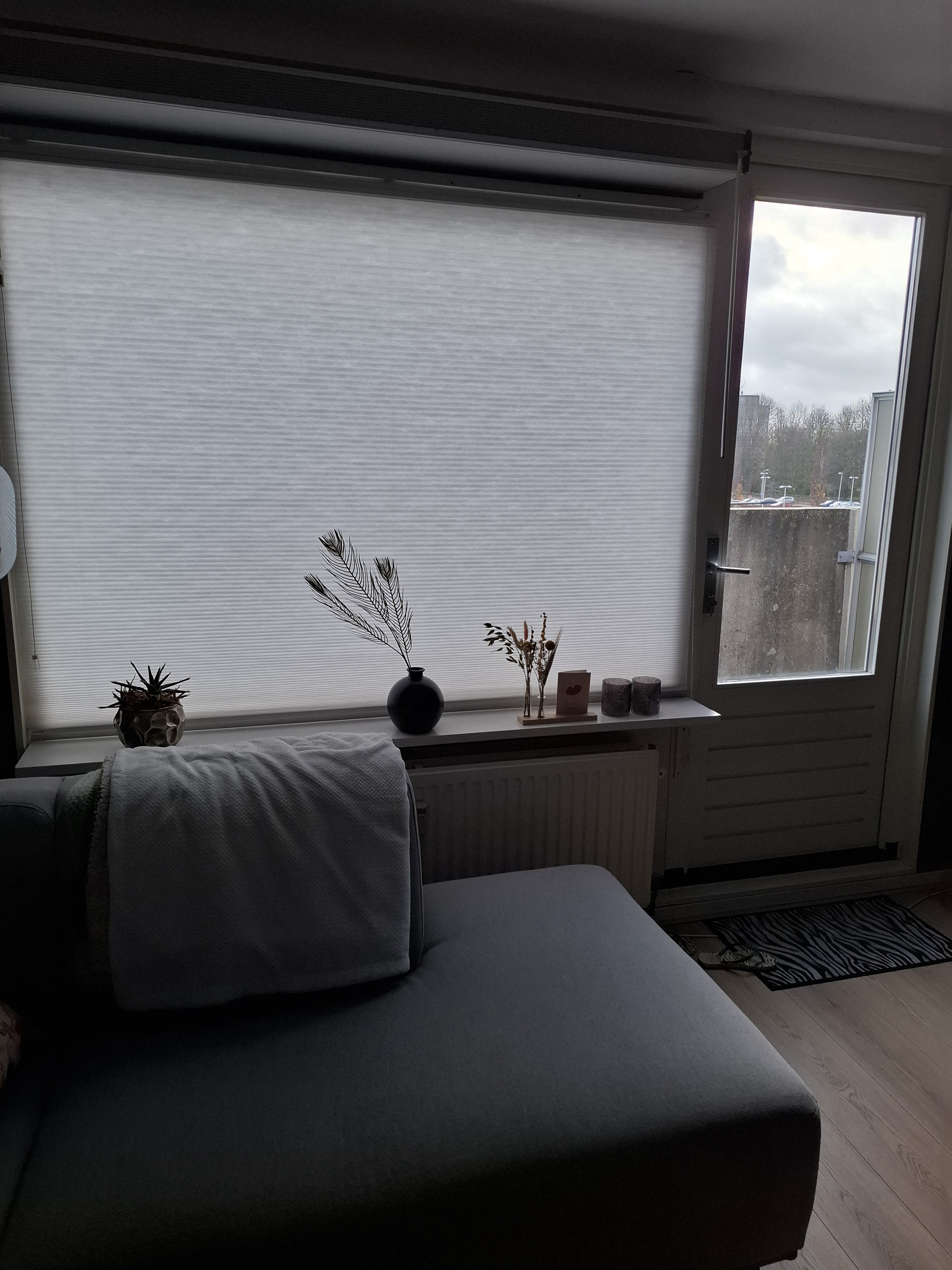 Reinier de Graafweg 568