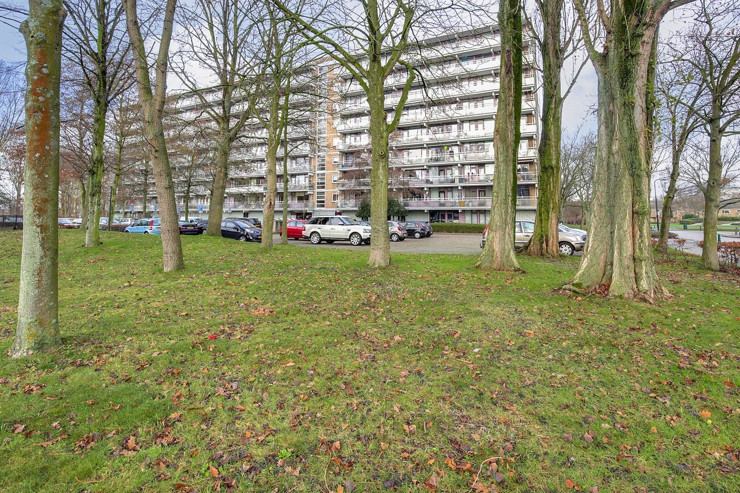 Aletta Jacobsstraat 76