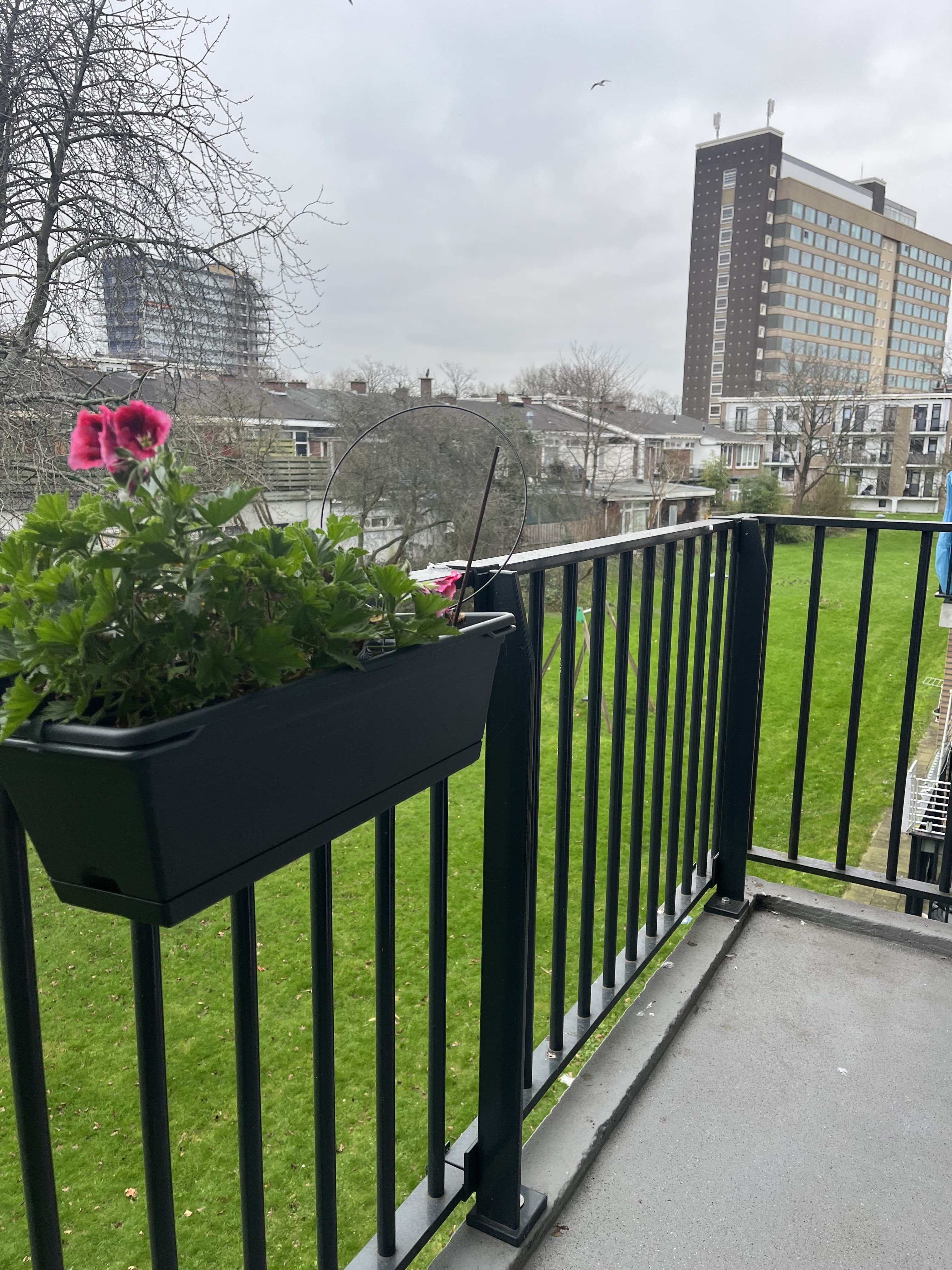 Joan Blasiusstraat 14