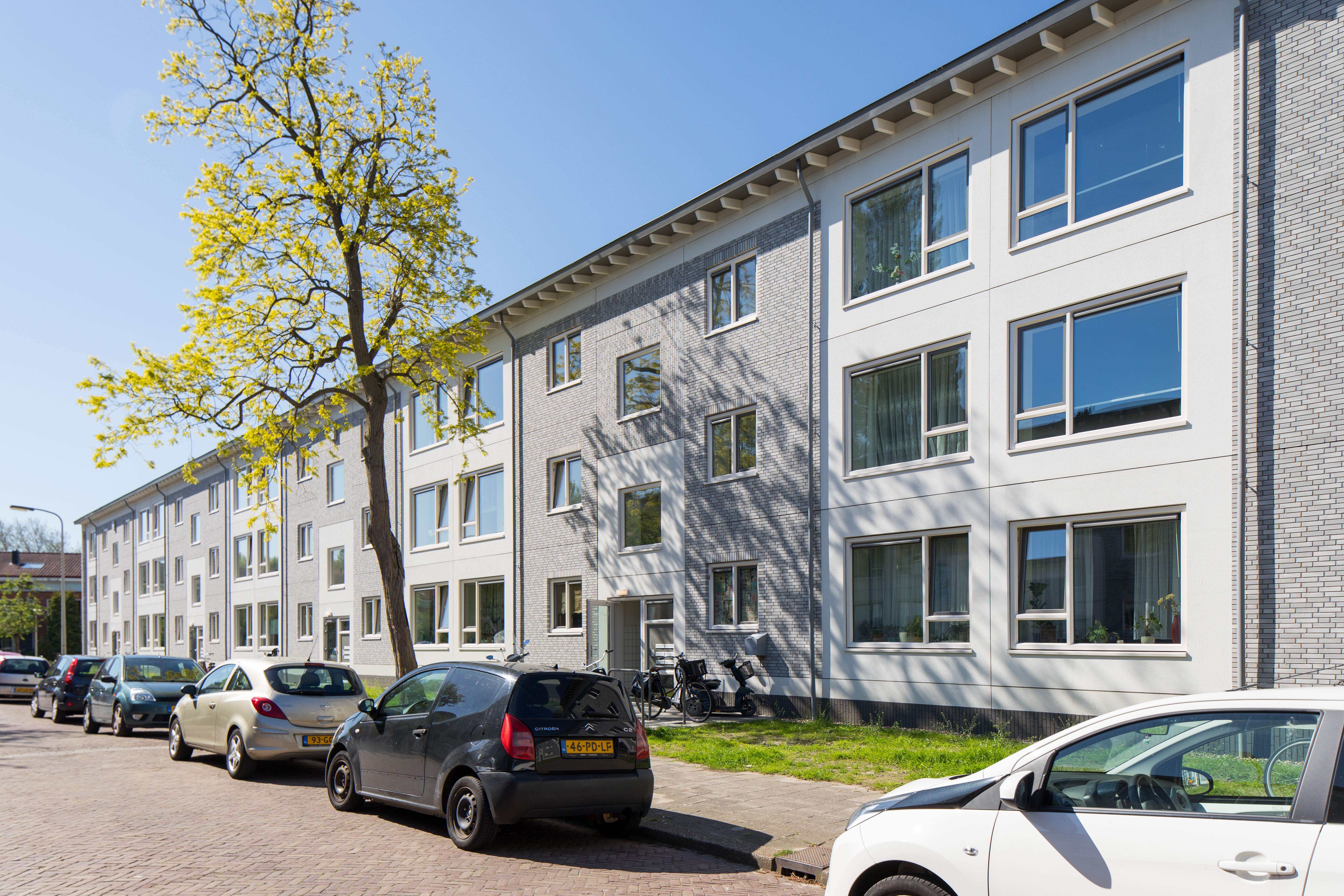 Schoonhetenstraat 55