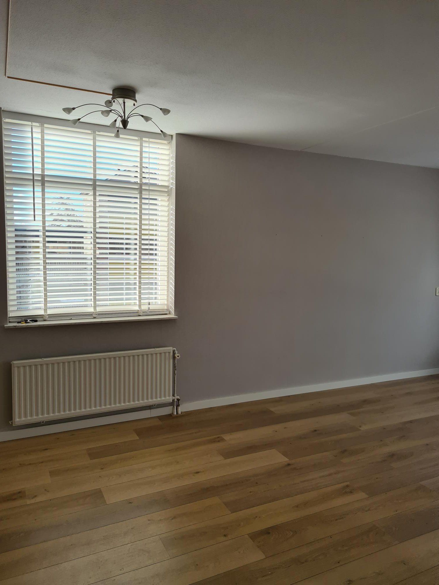 Ernst Casimirstraat 29