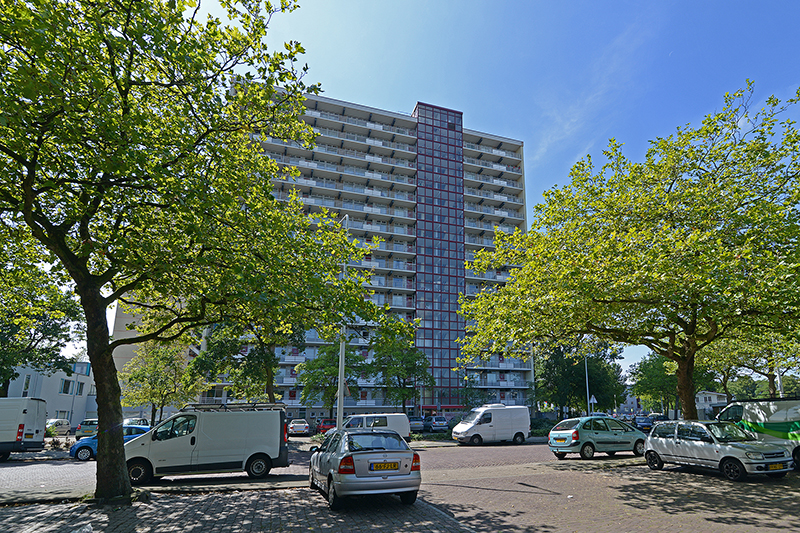 Willem Dreespark 117
