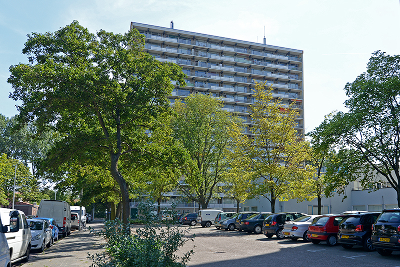 Willem Dreespark 117