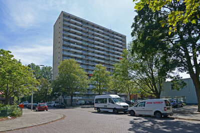 Willem Dreespark 117