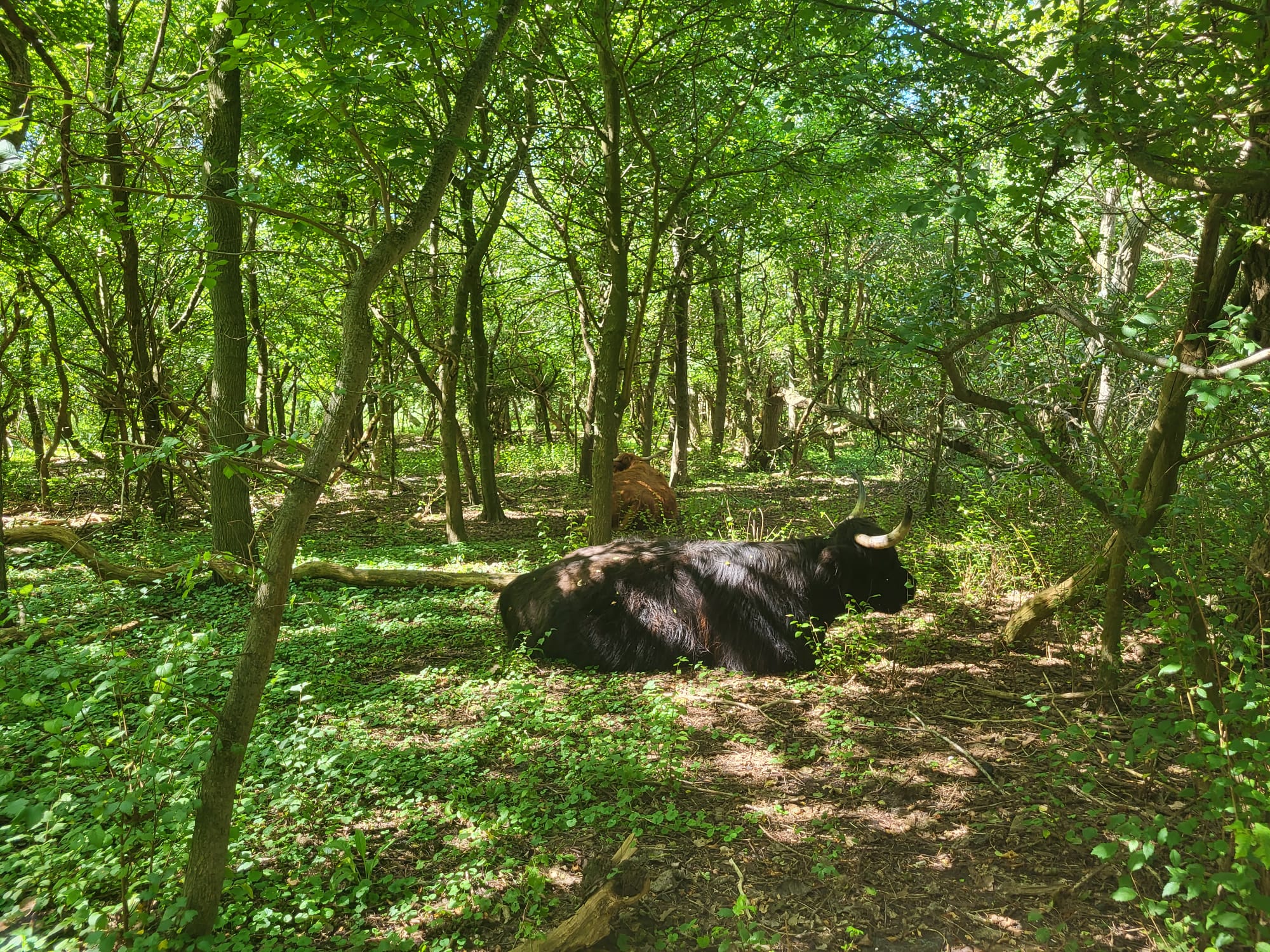 Vissershavenstraat 191