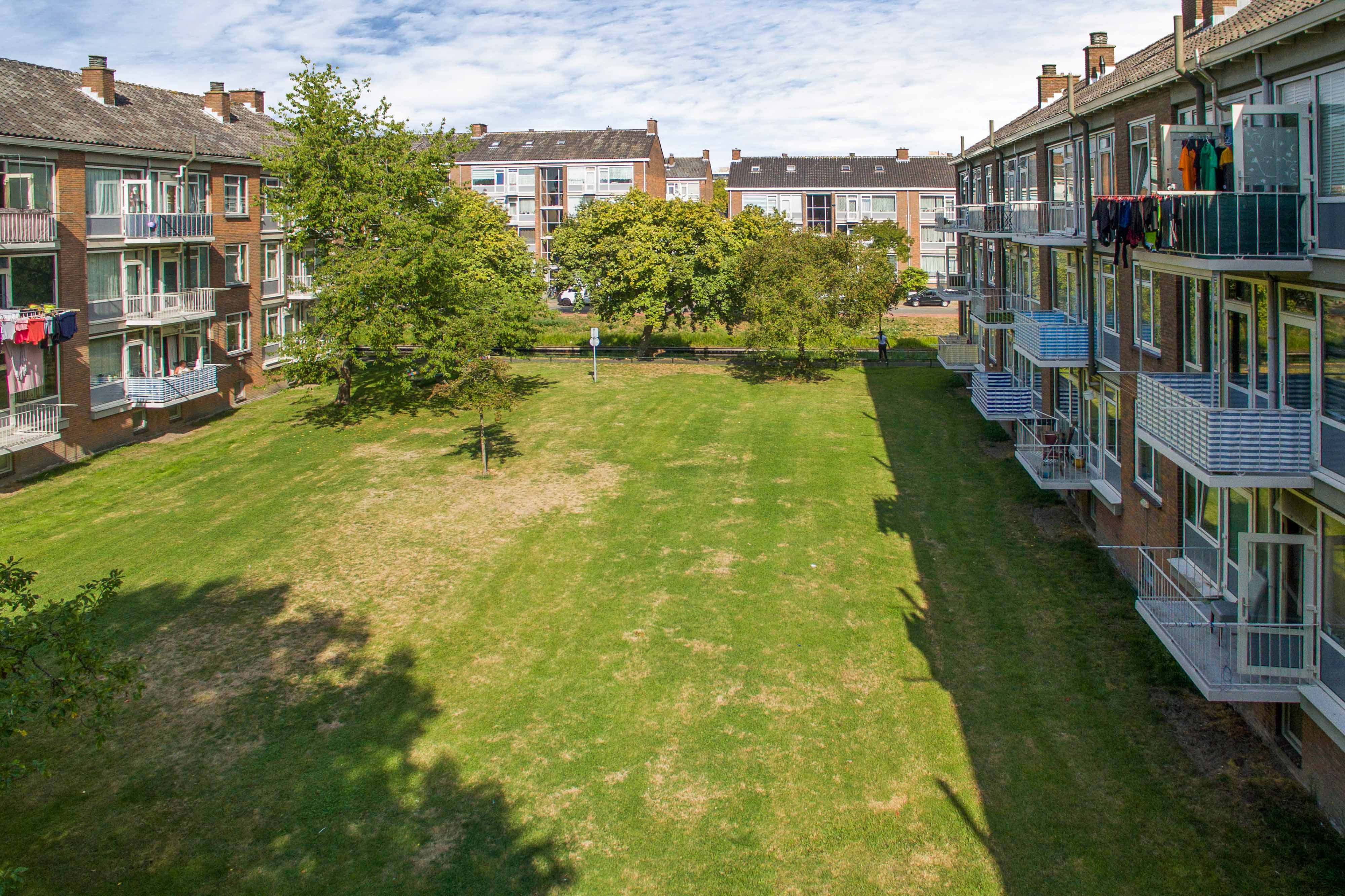 P. Werthweynstraat 4