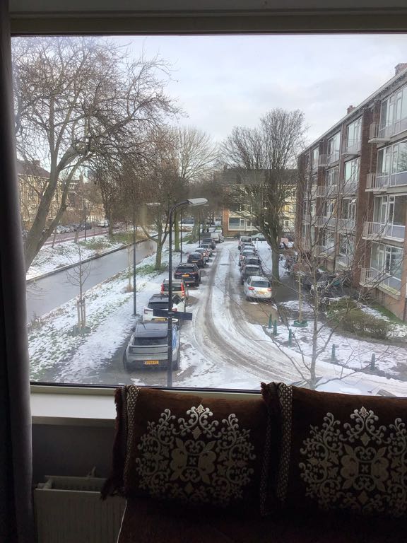 P. Werthweynstraat 4