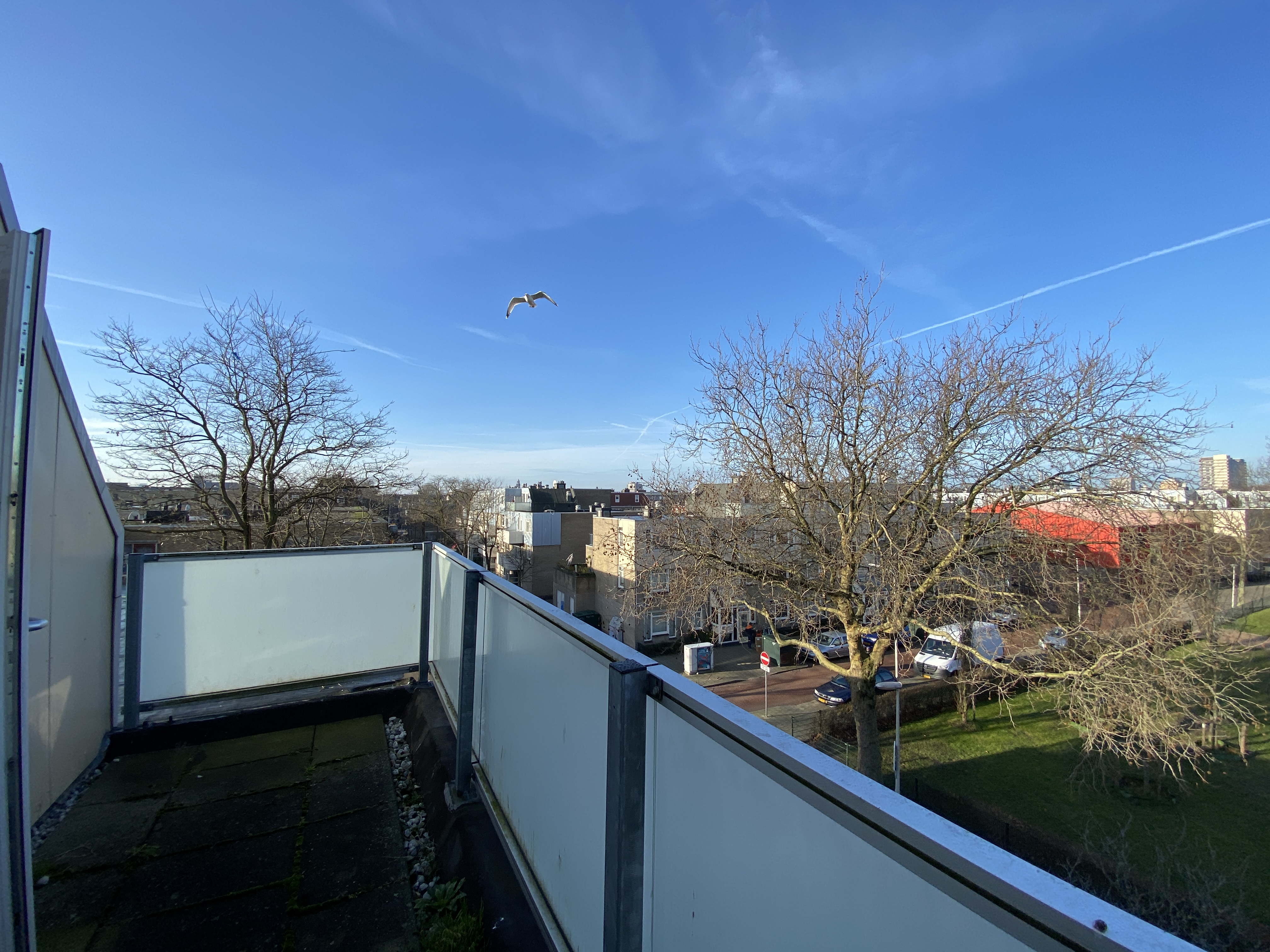 Van Ostadestraat 150