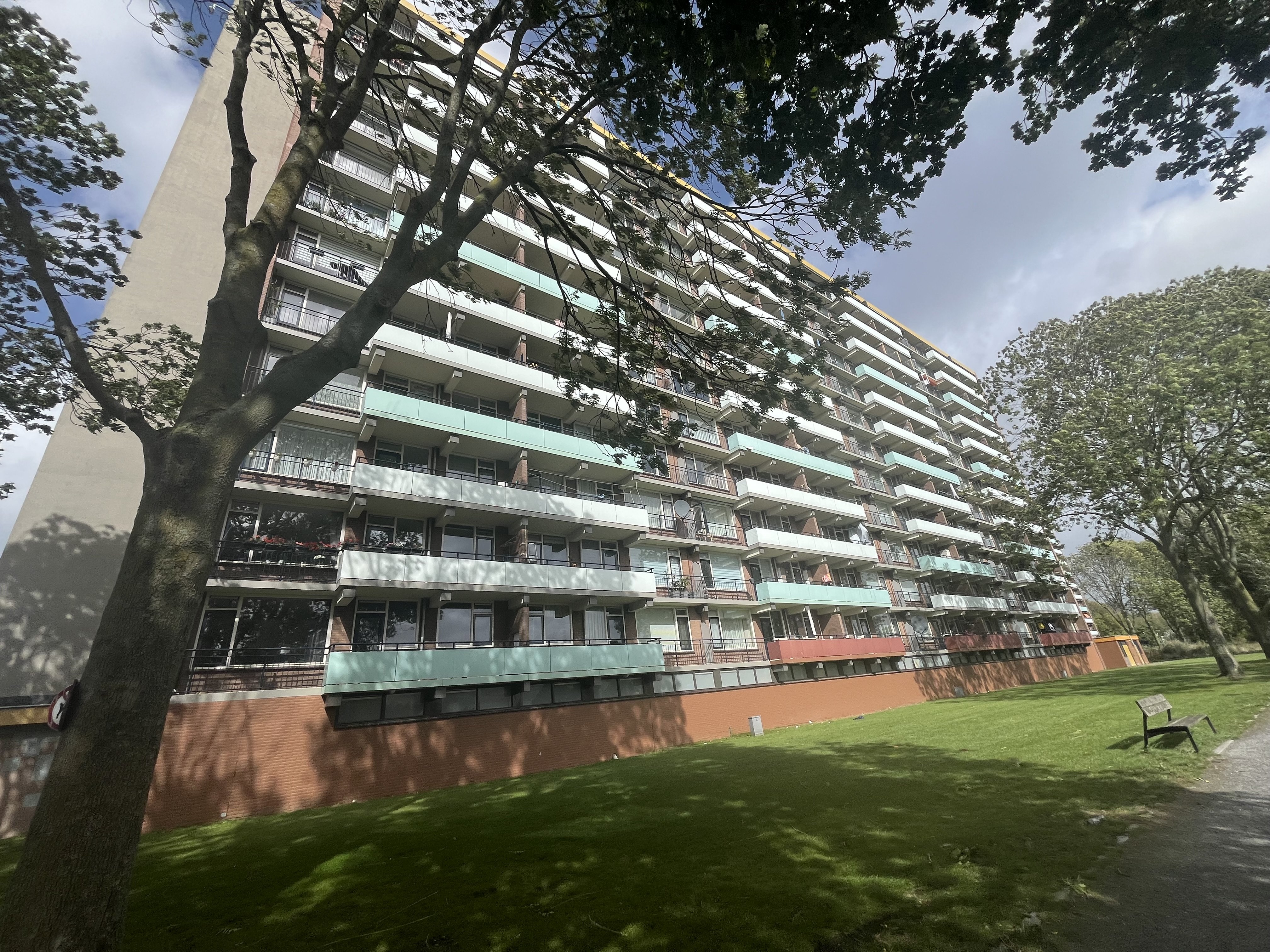 Petronella Voûtestraat 269