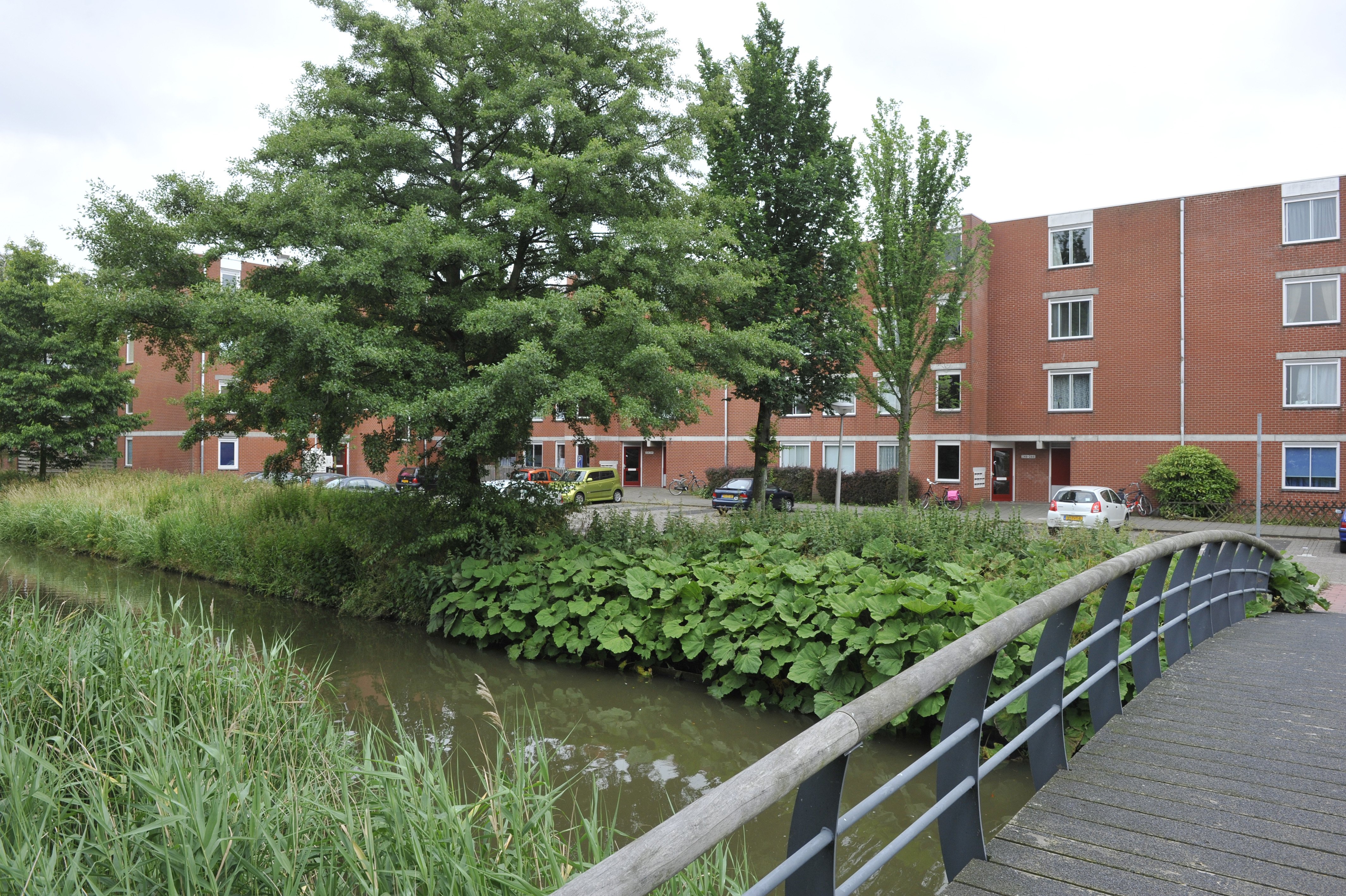 Reinier de Graafweg 302, 2625 DJ Delft, Nederland